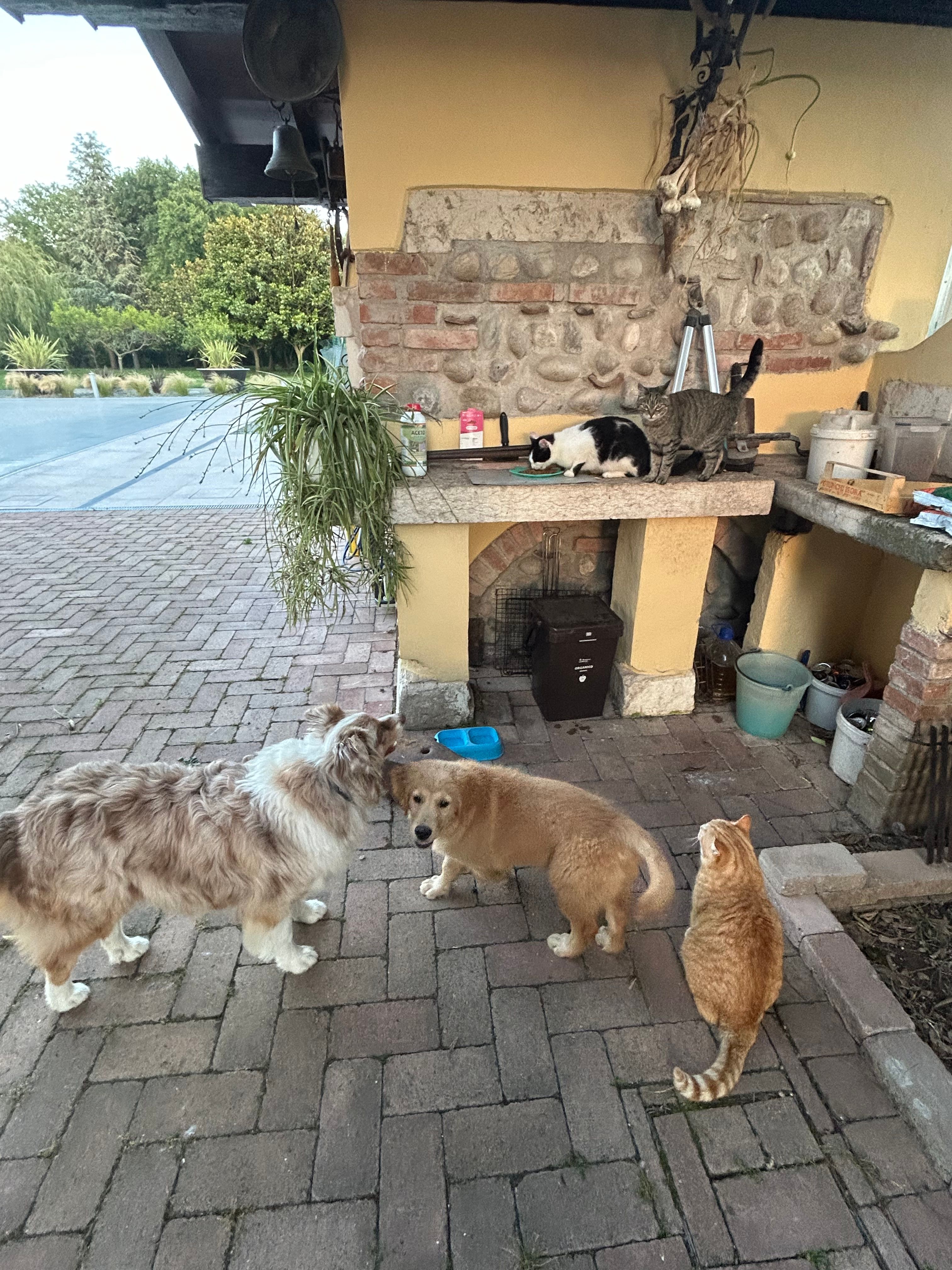 image-15