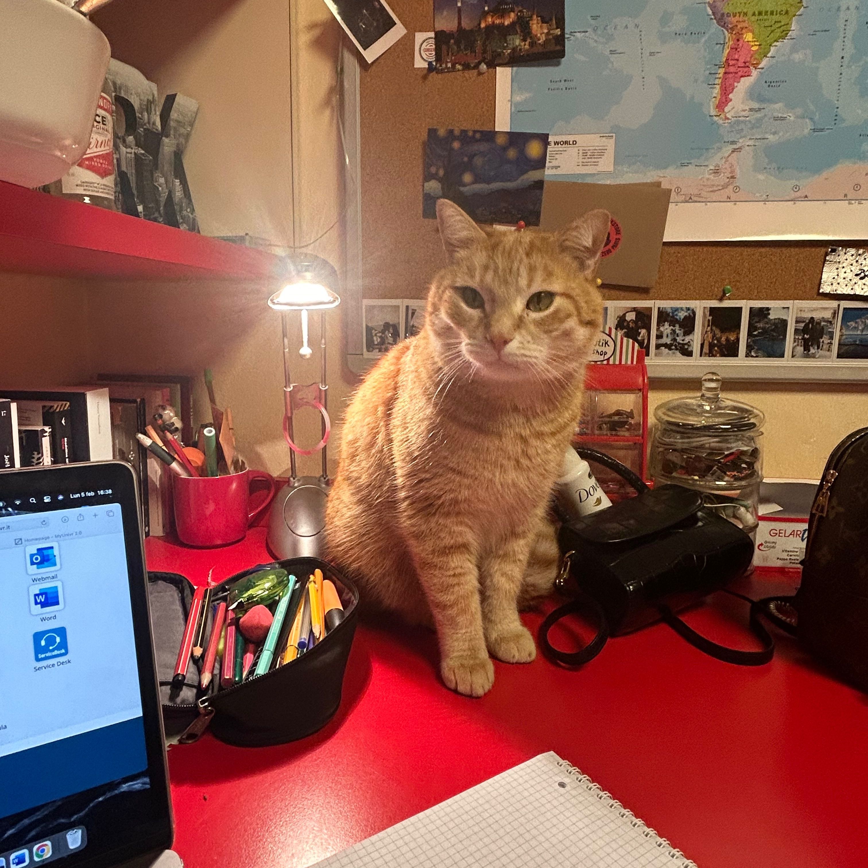 Garfield