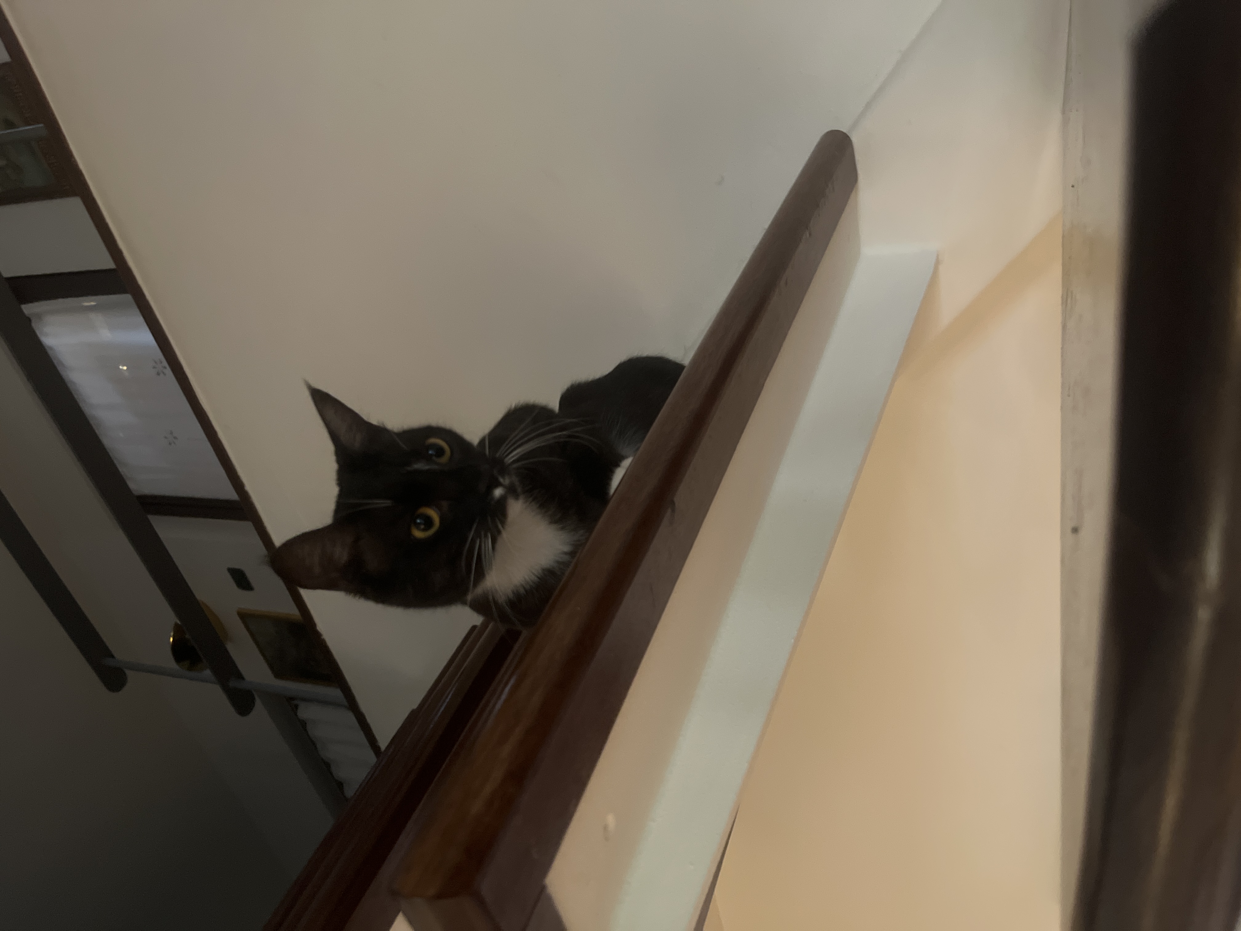 image-6