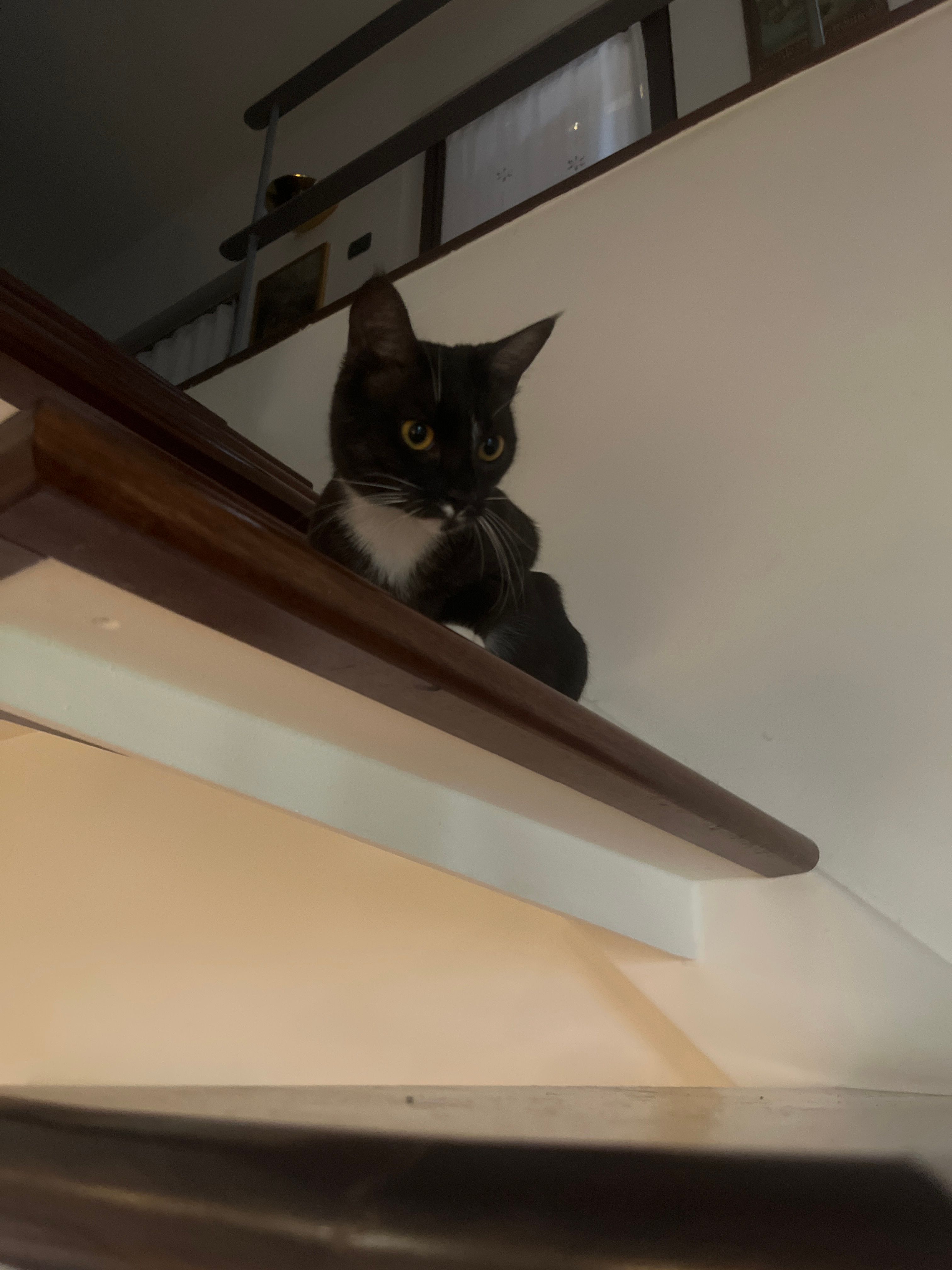 image-6