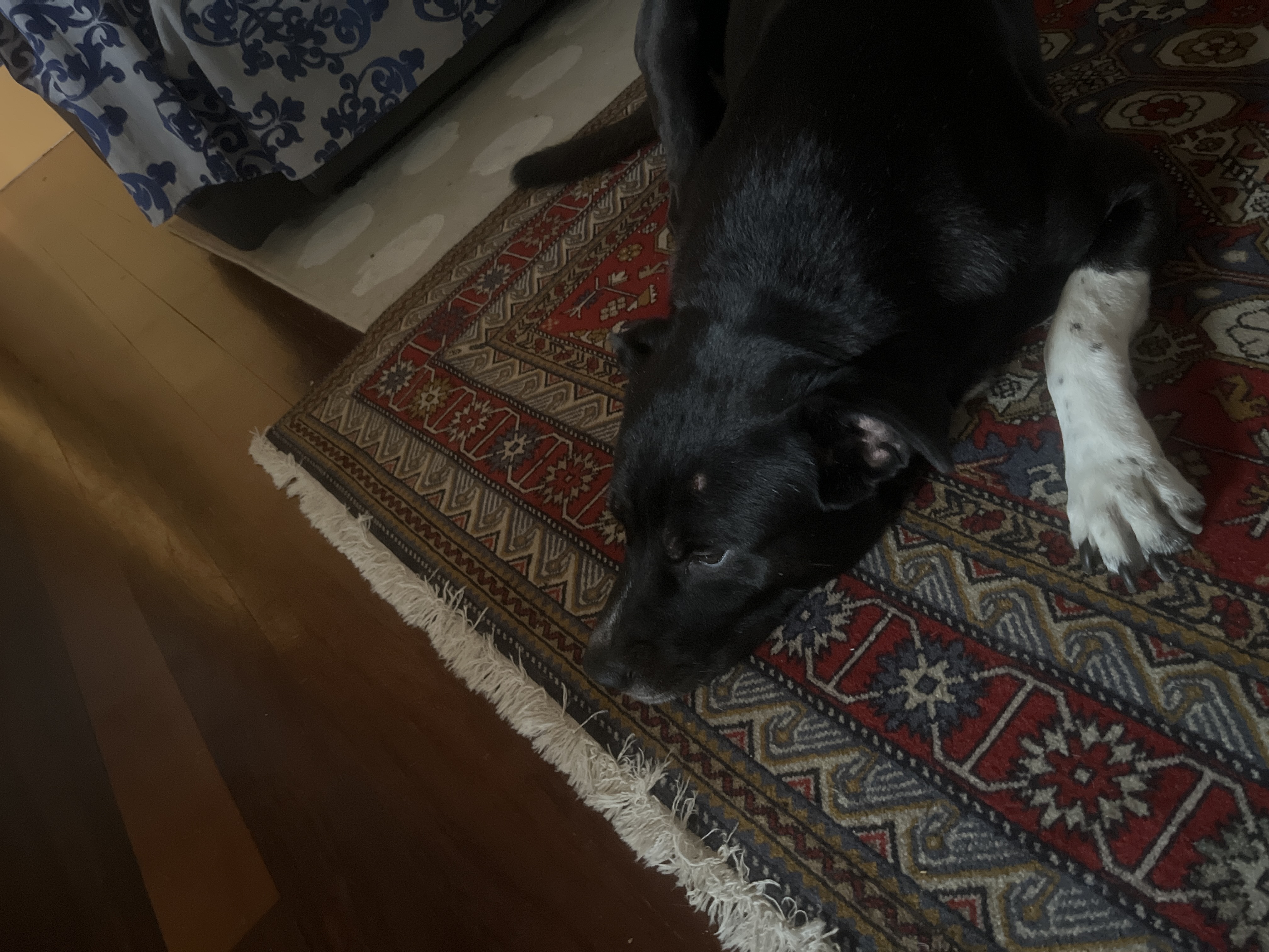 image-5