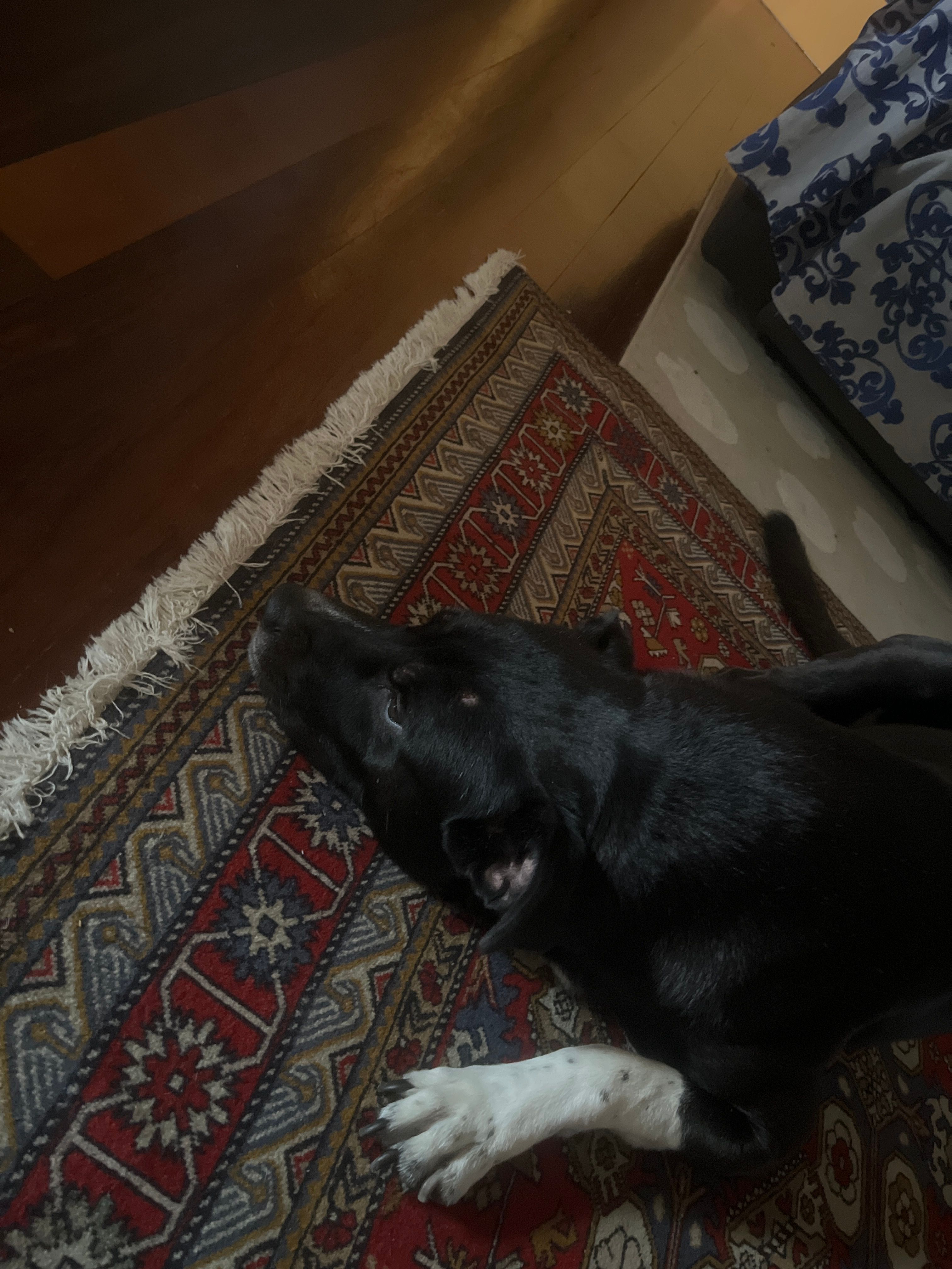 image-5