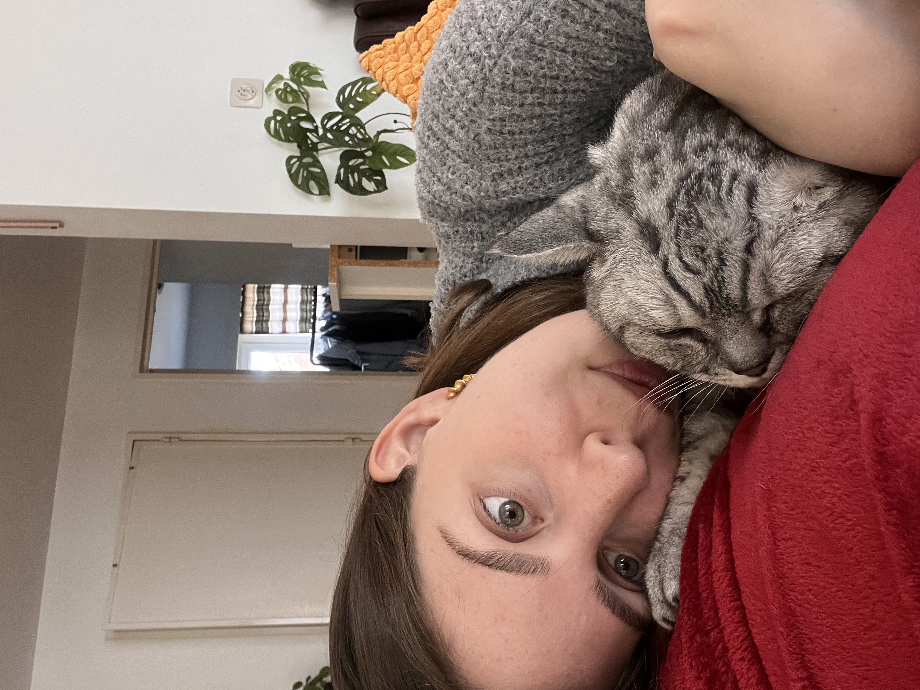 image-6