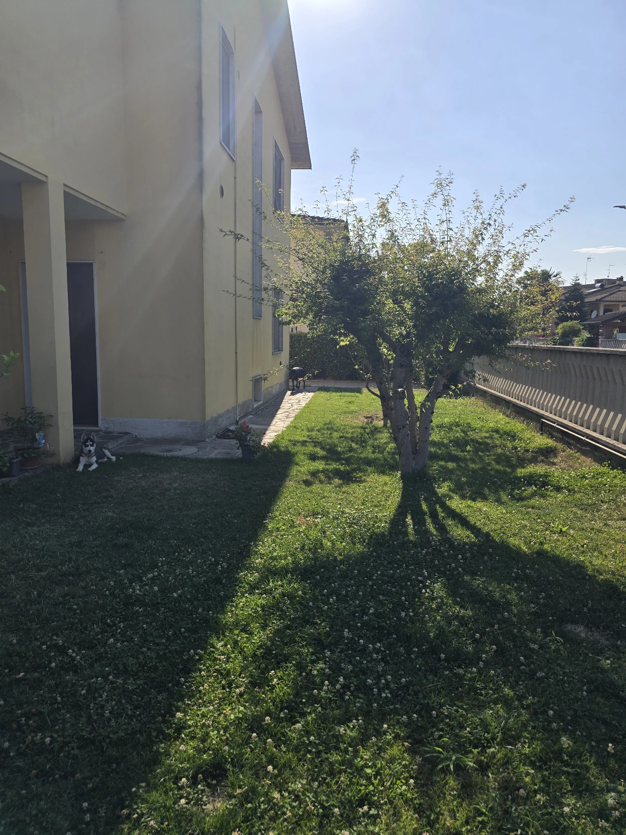 image-20