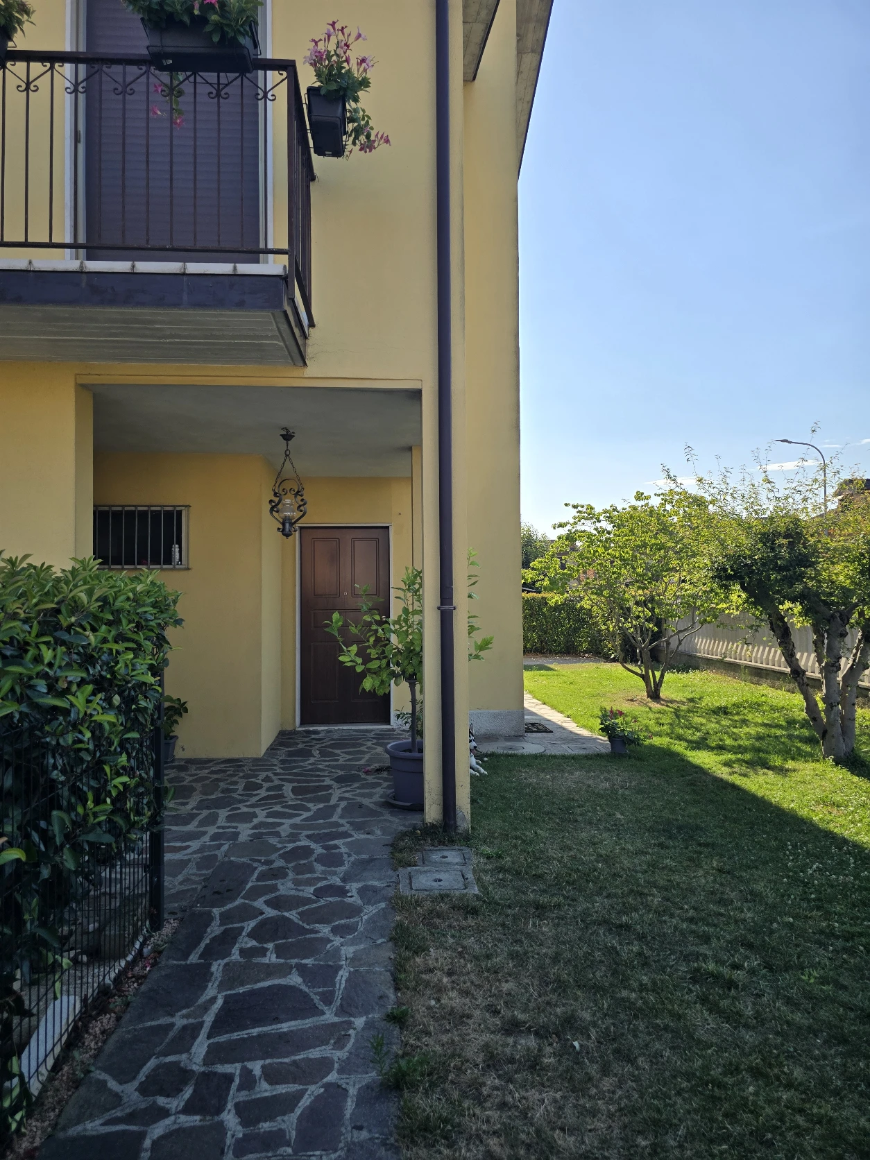 image-19