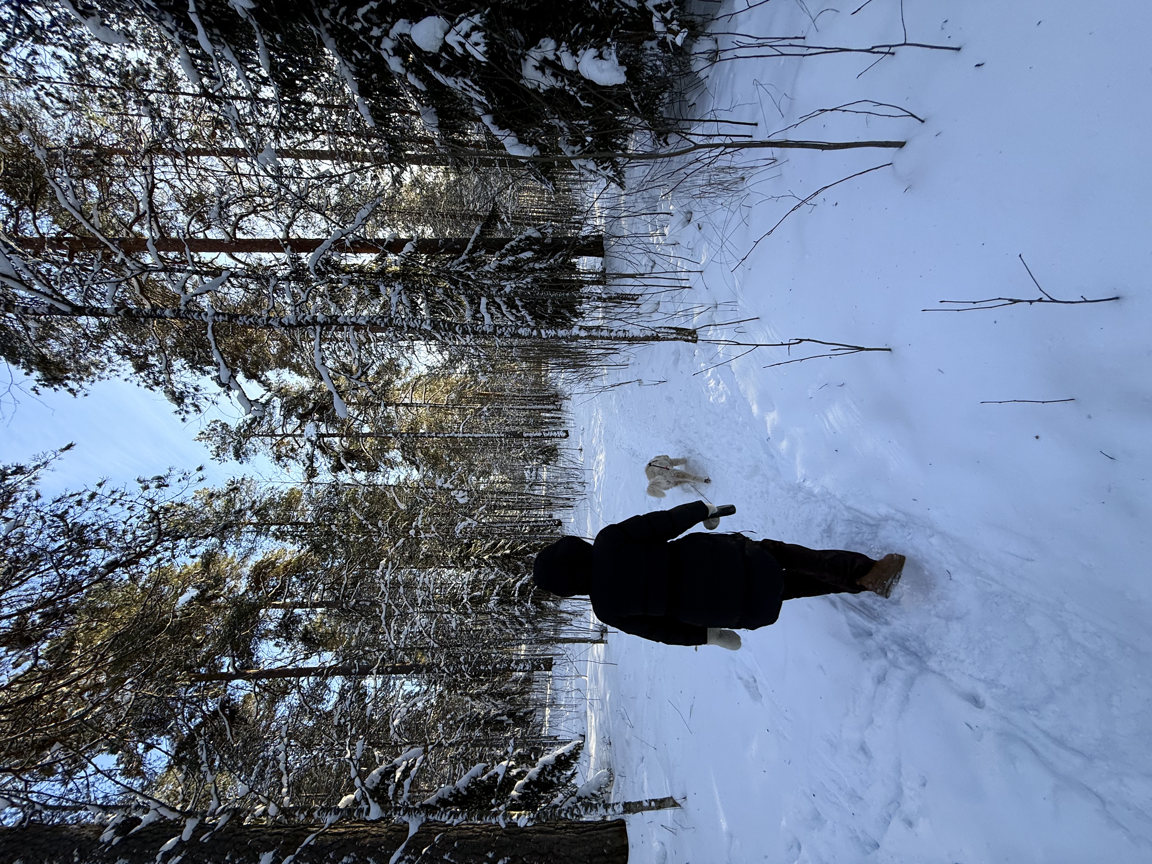 image-0