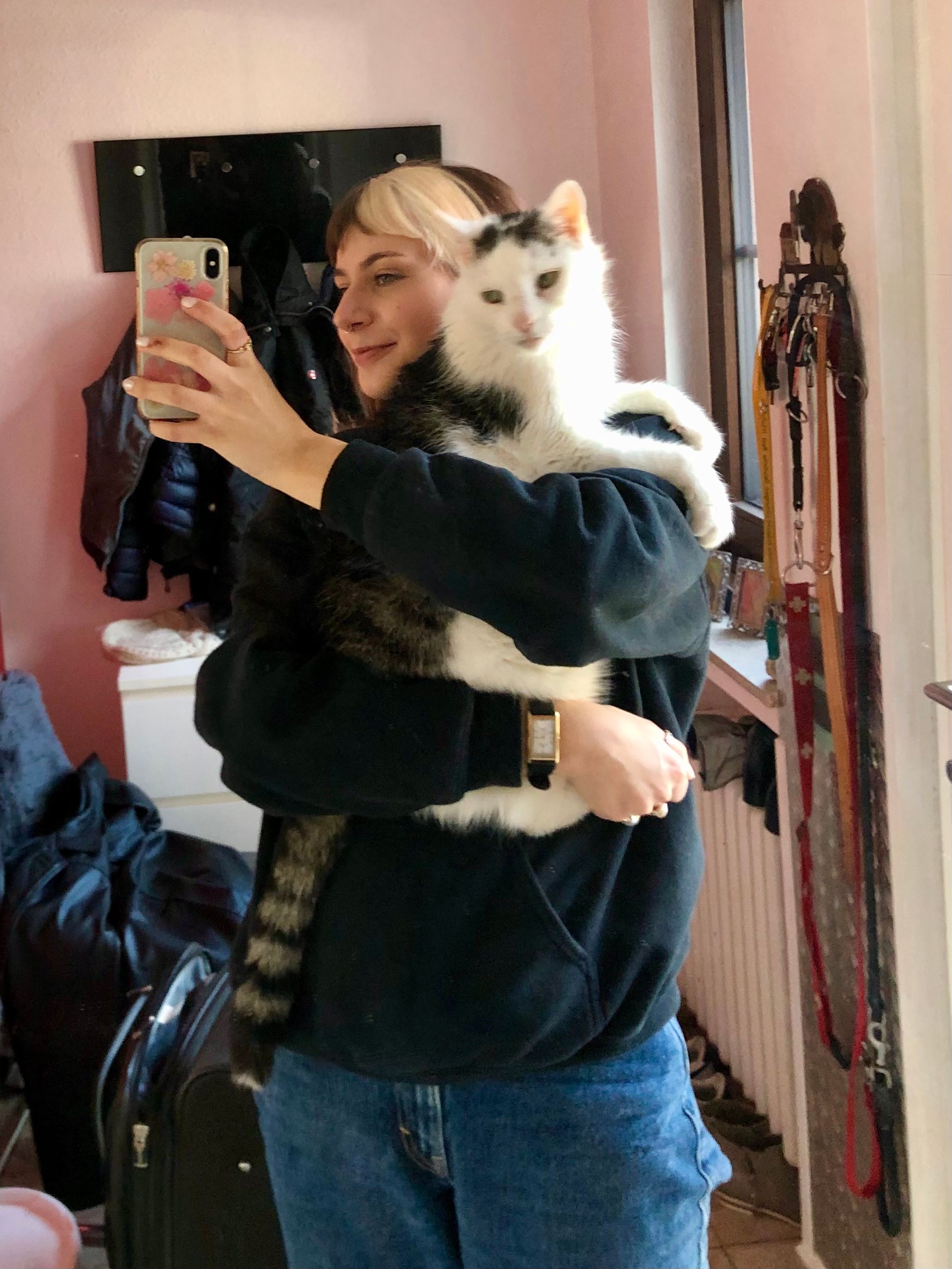 image-8