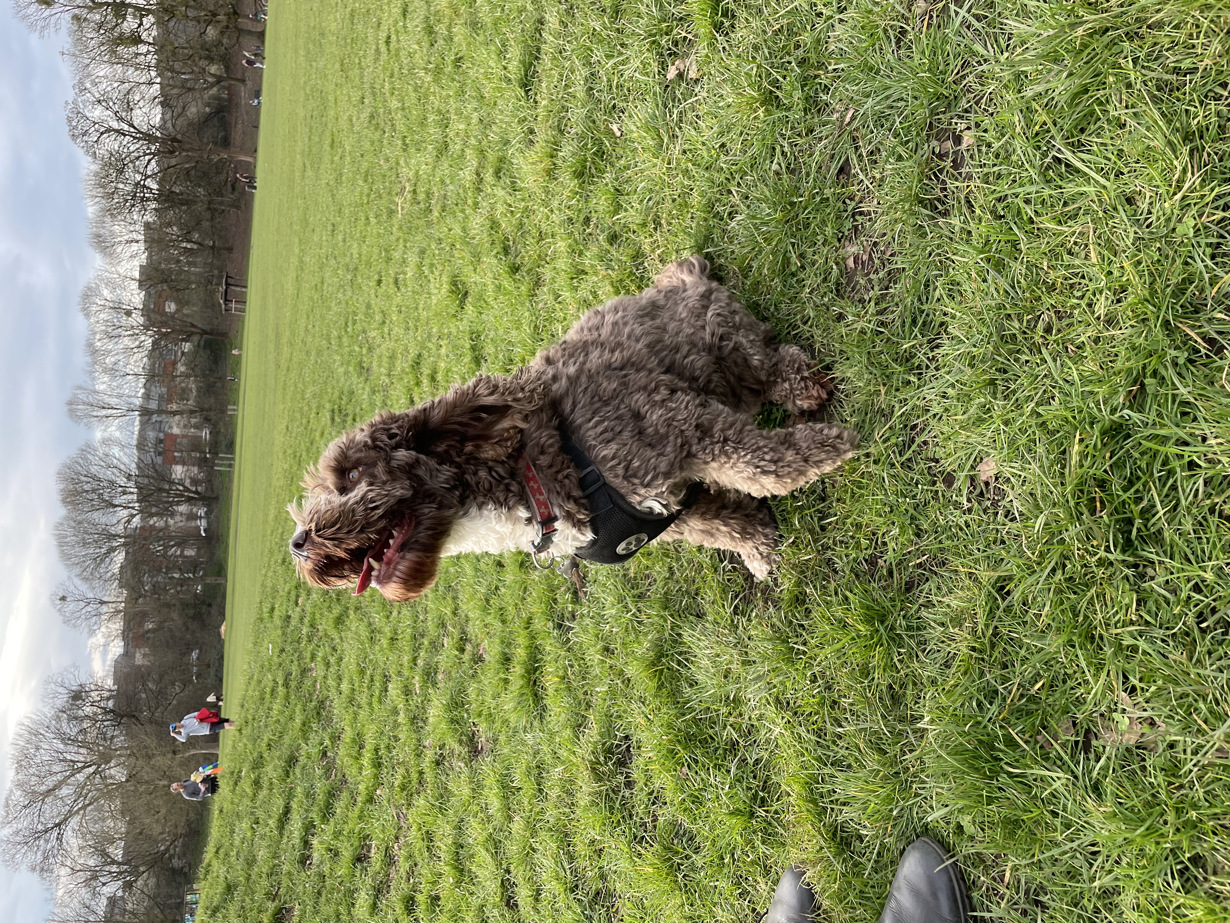 image-11