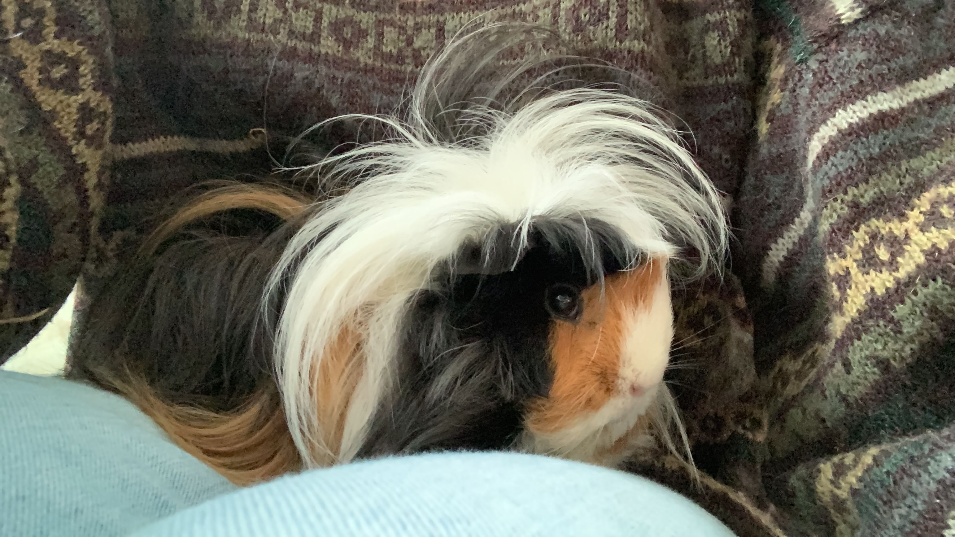 image-12
