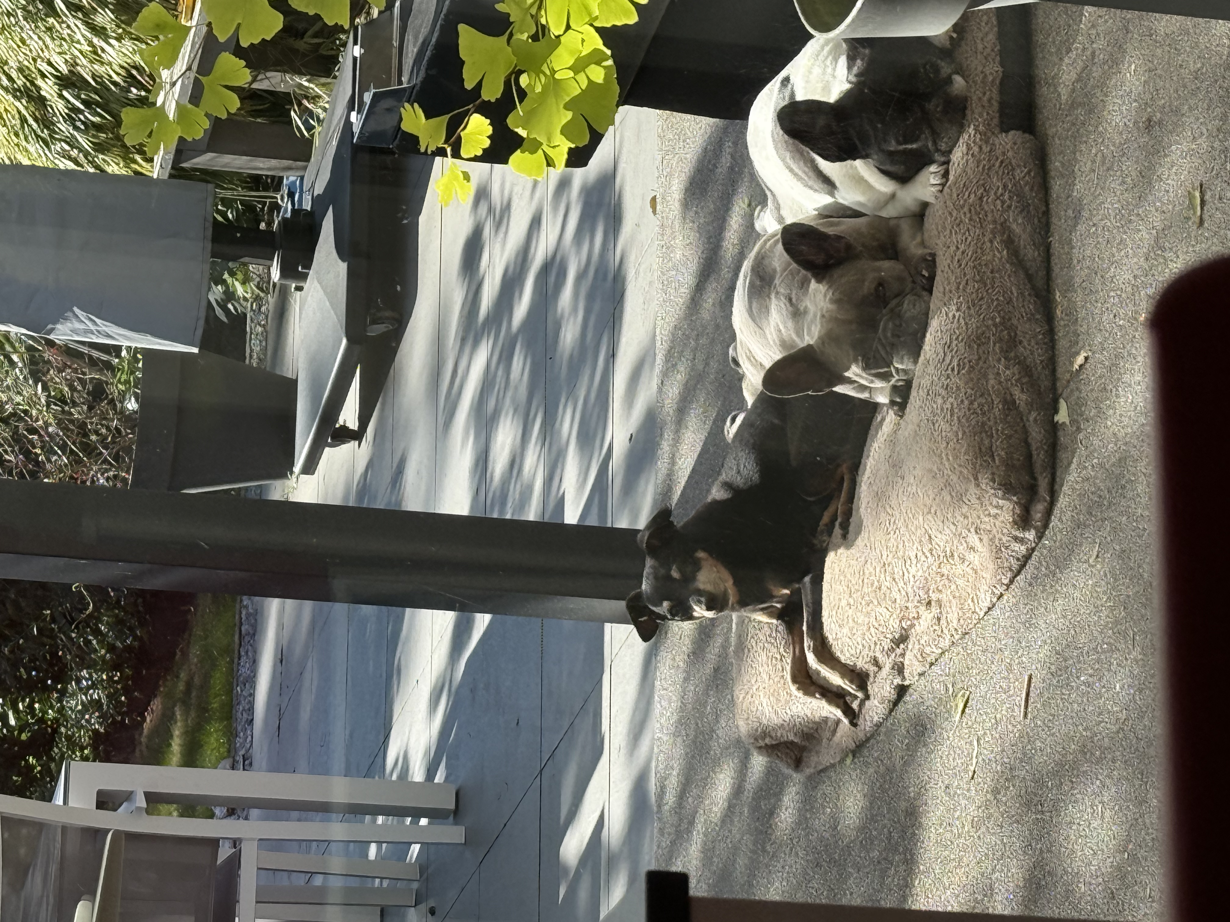 image-4
