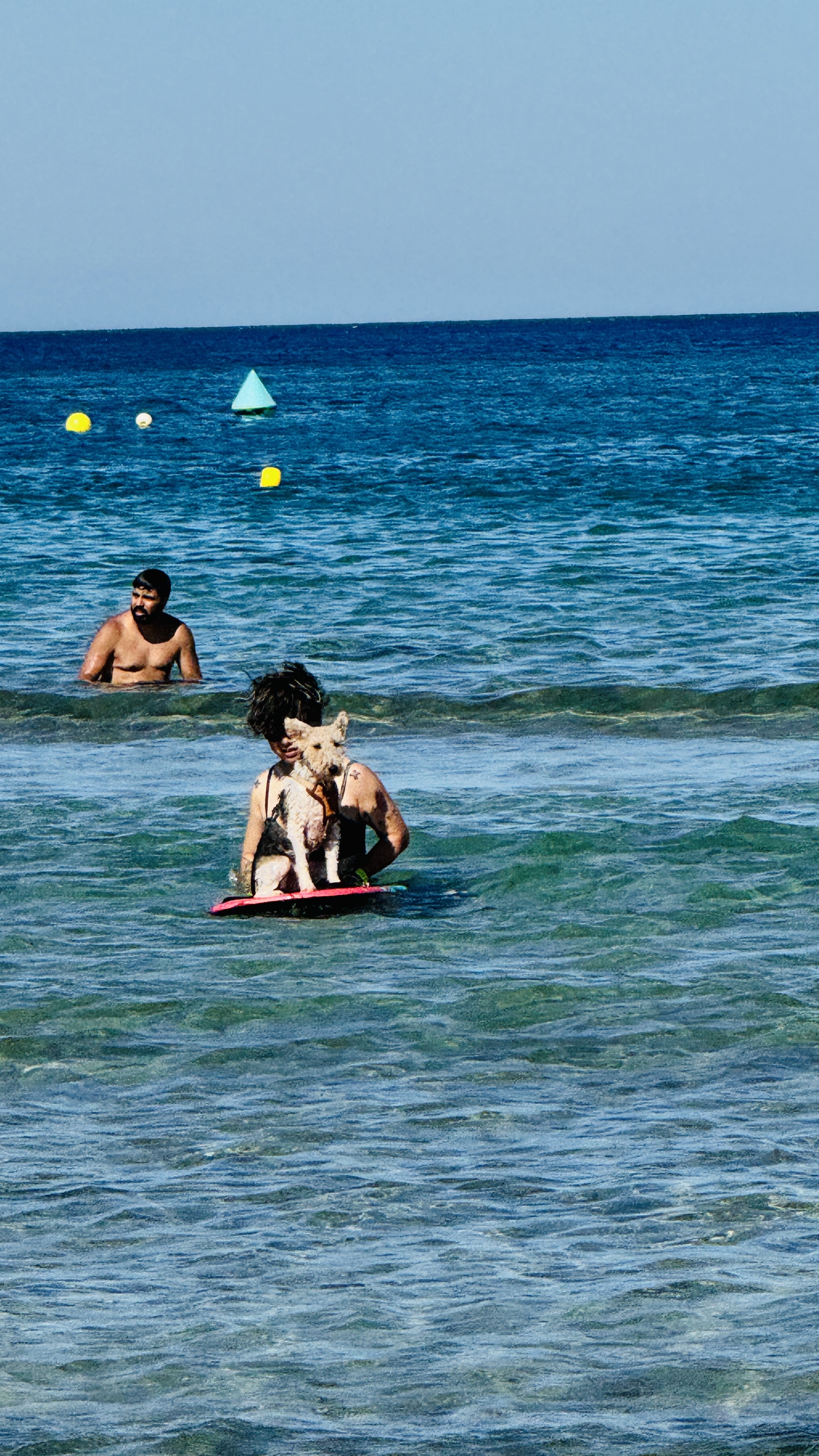 image-5