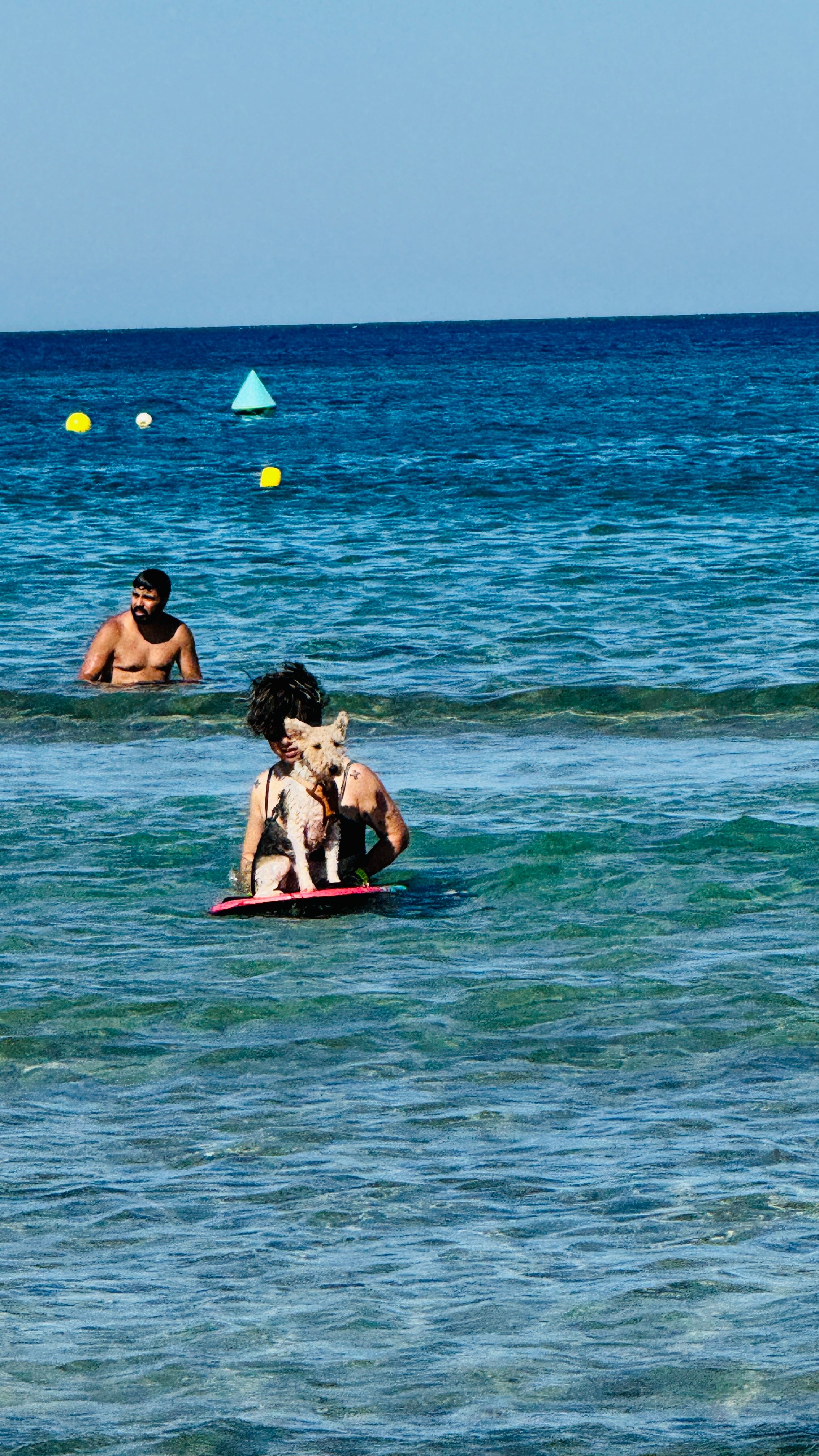 image-5