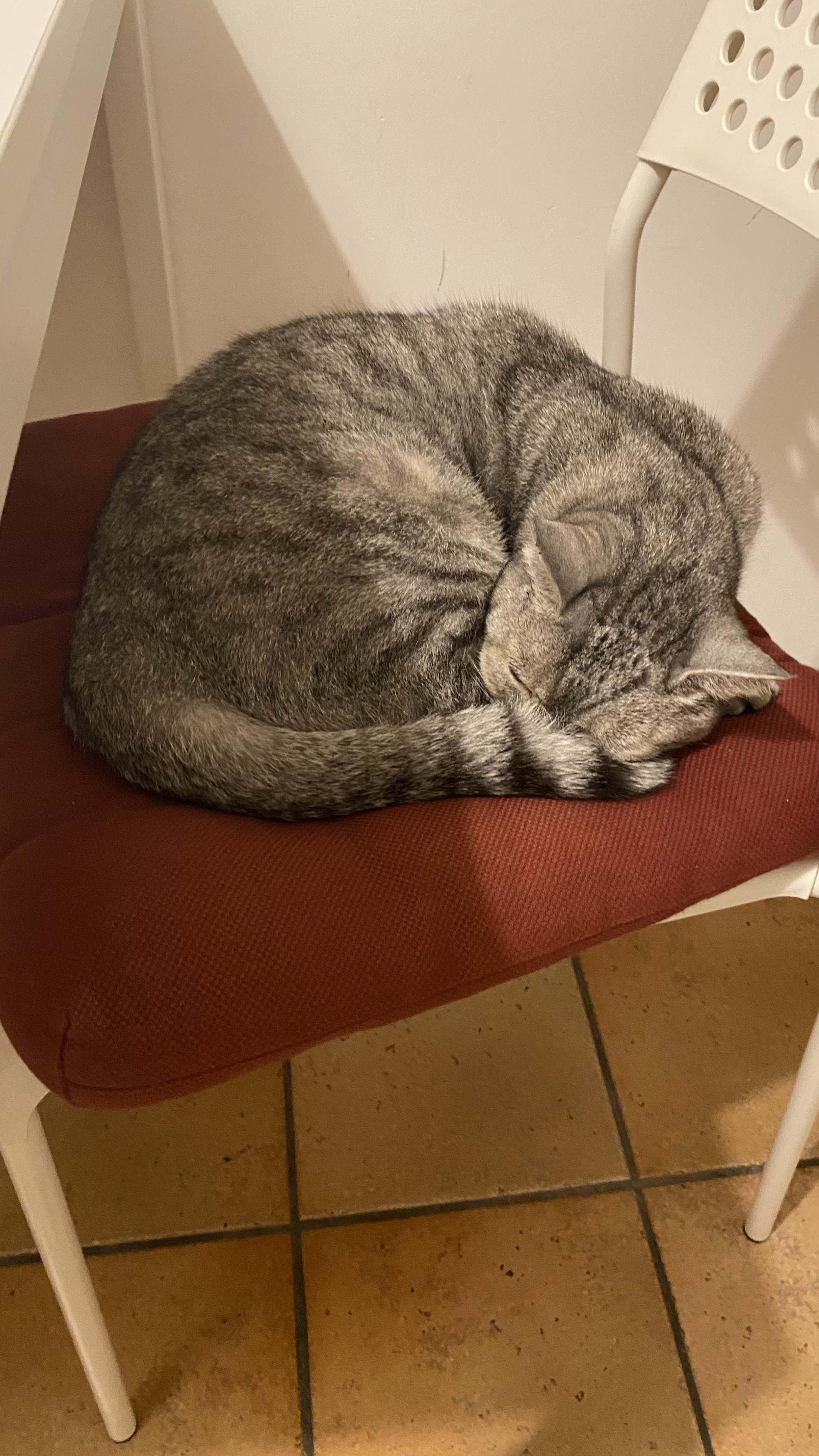 image-6
