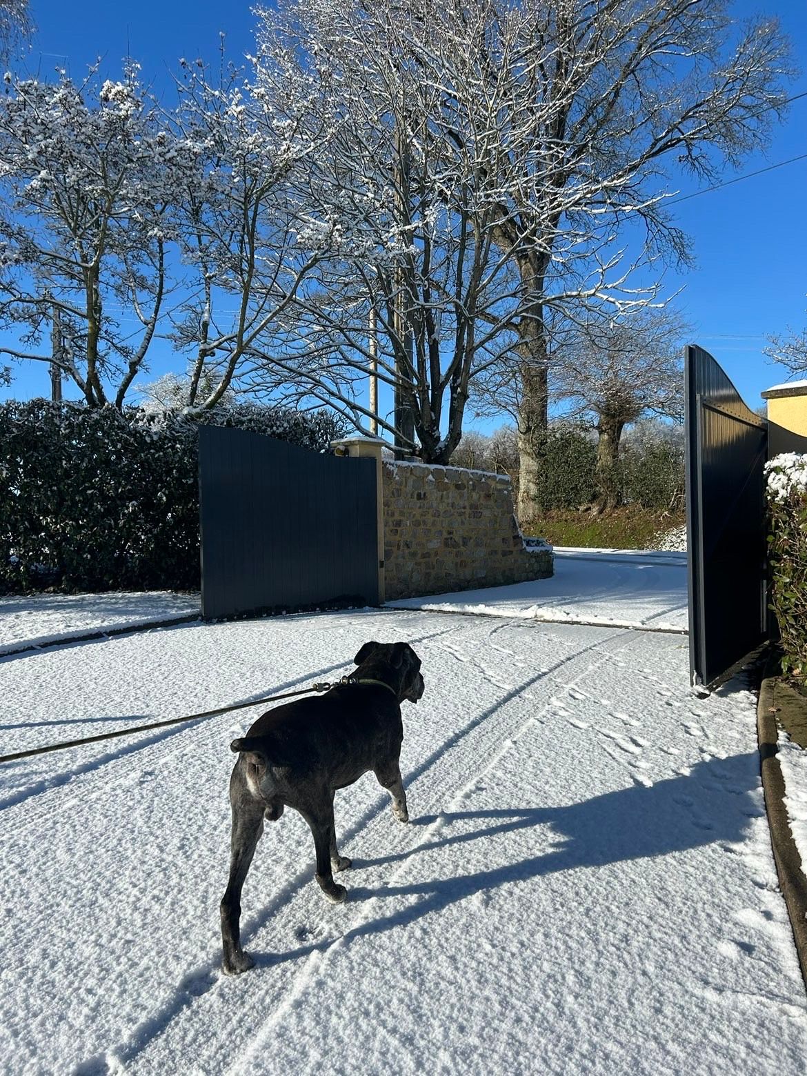 image-6