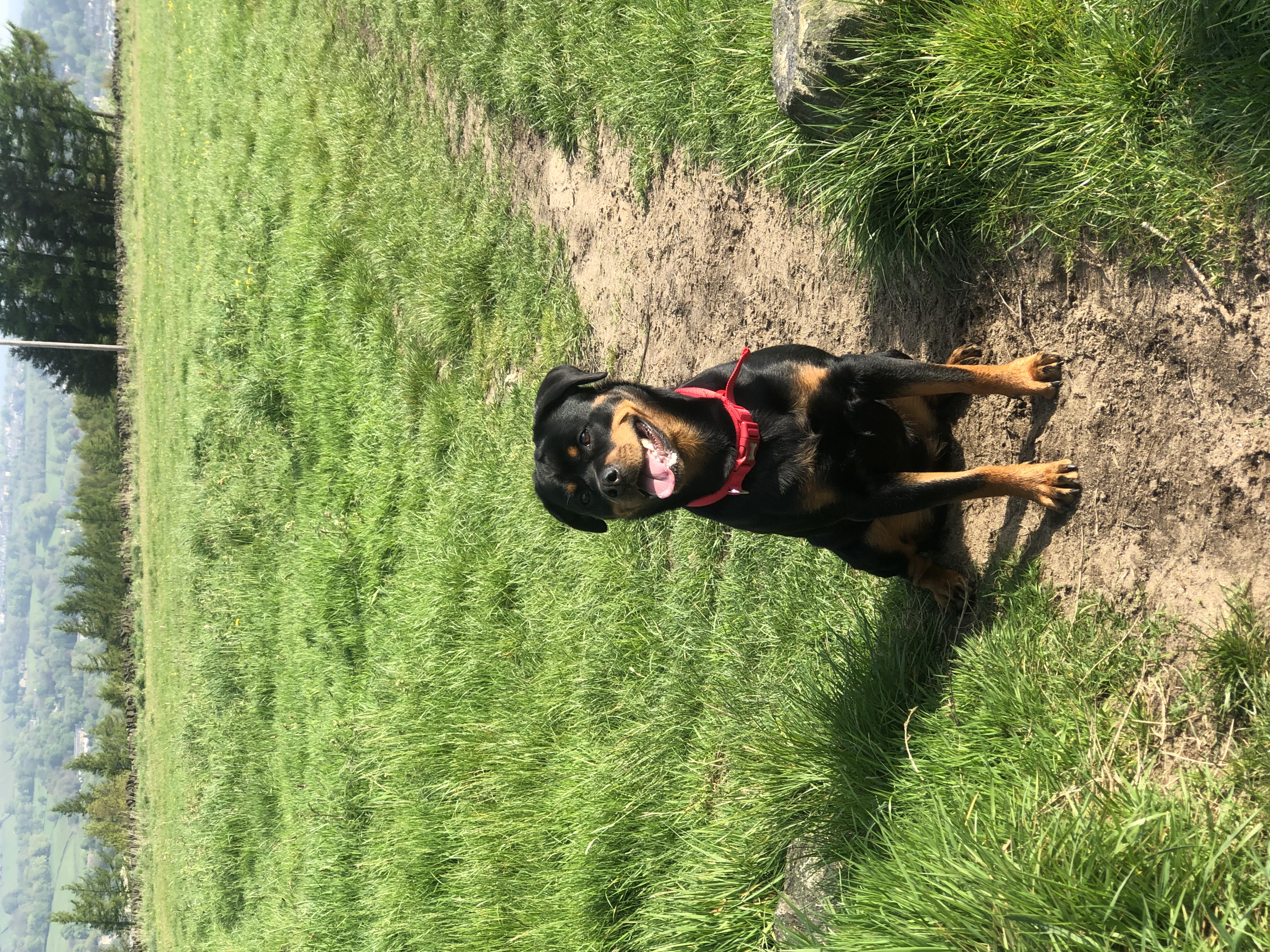 image-12