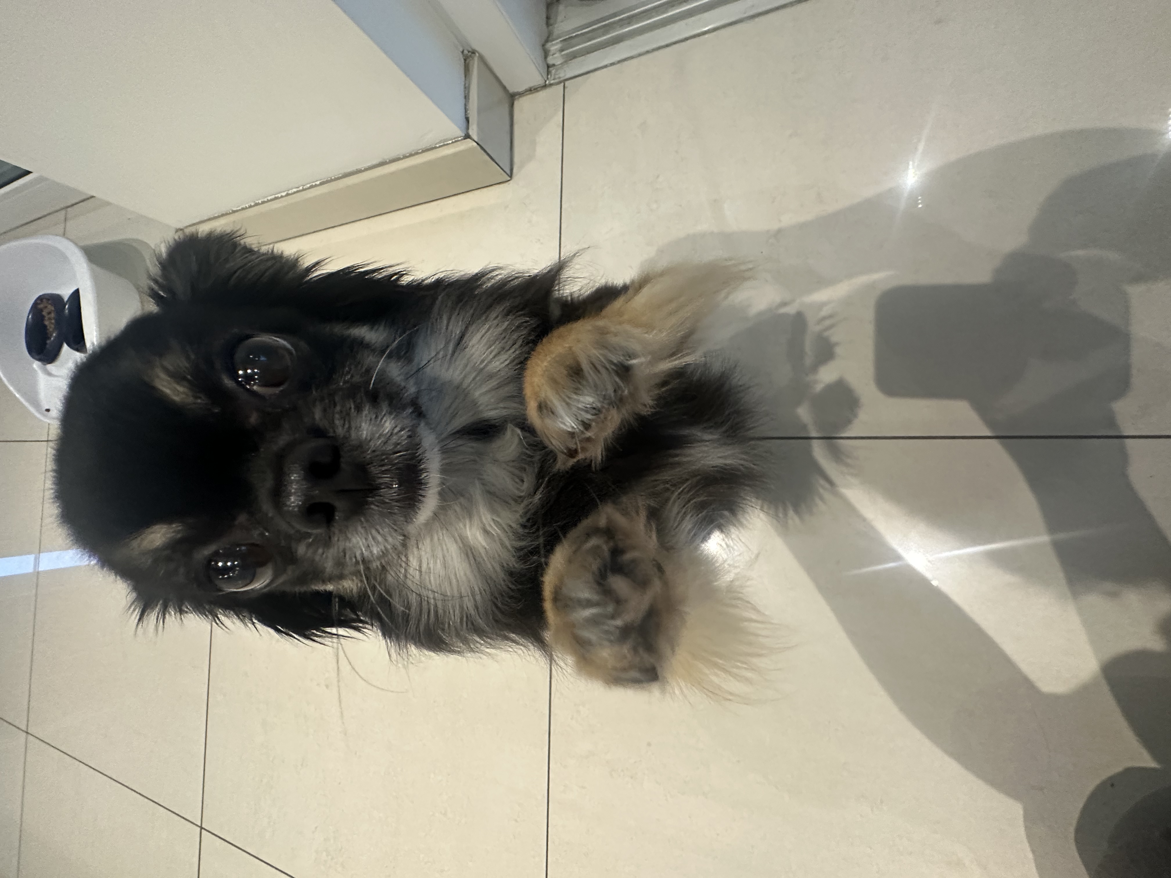 image-7