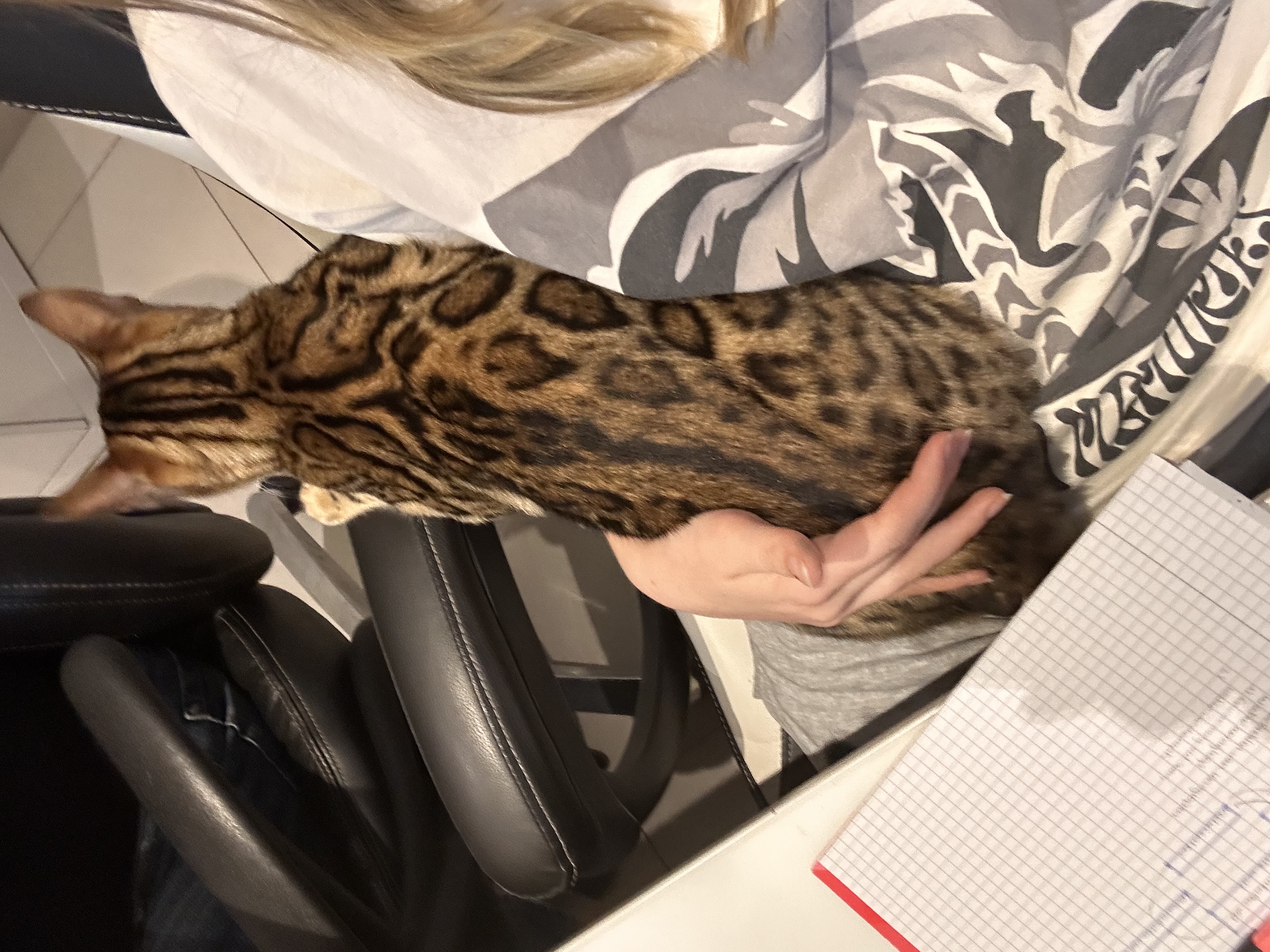 image-6