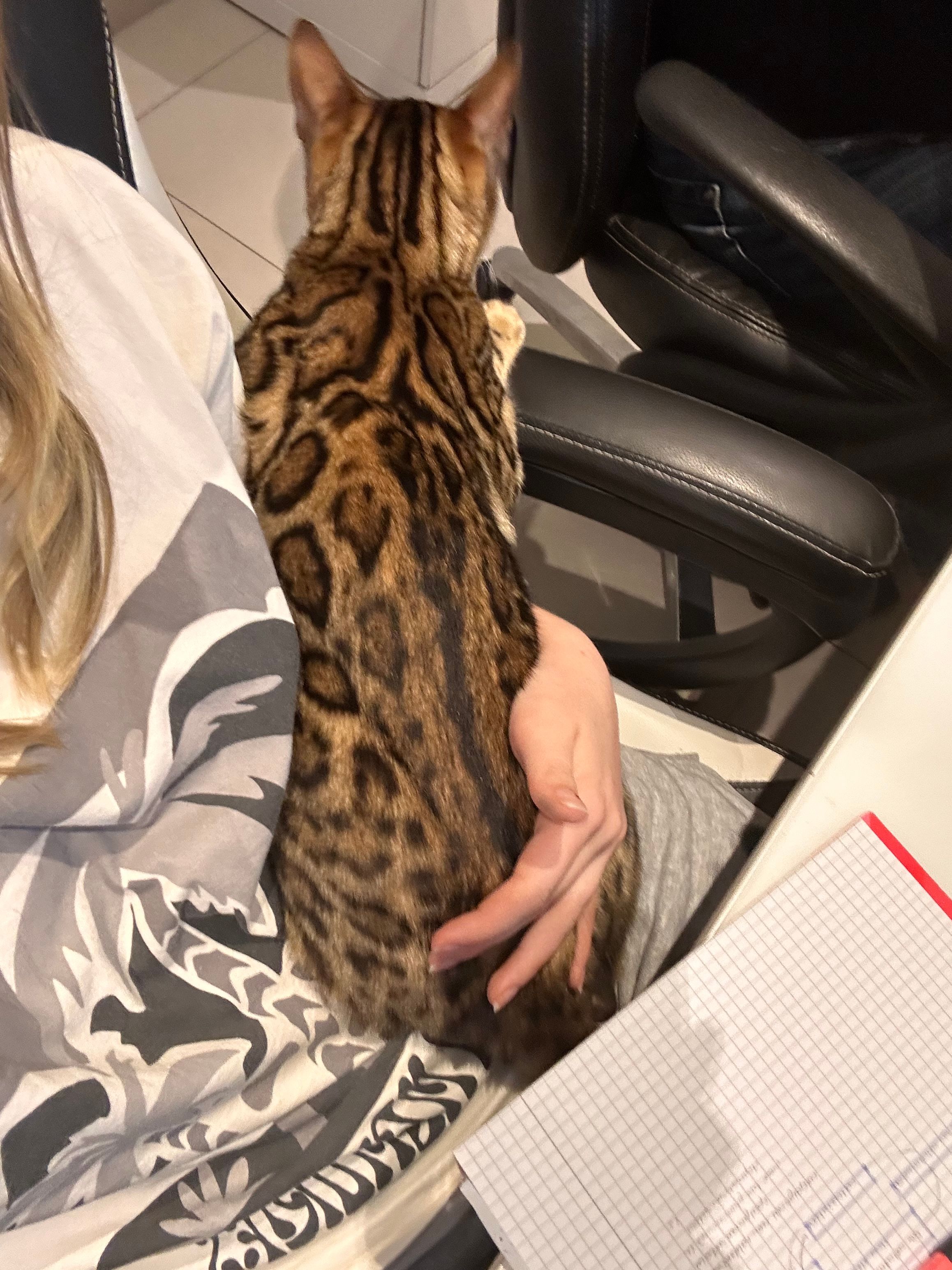image-6