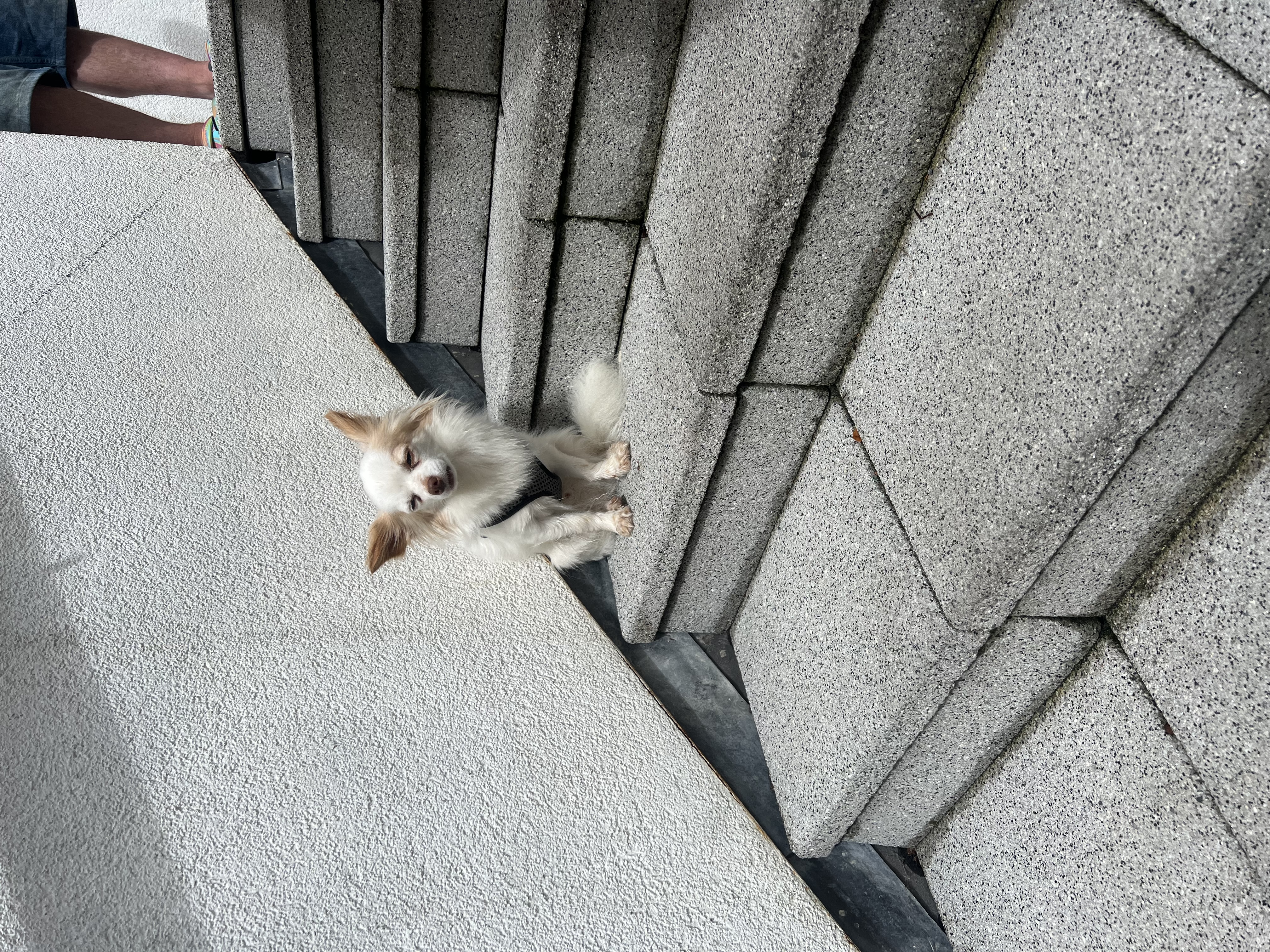 image-4