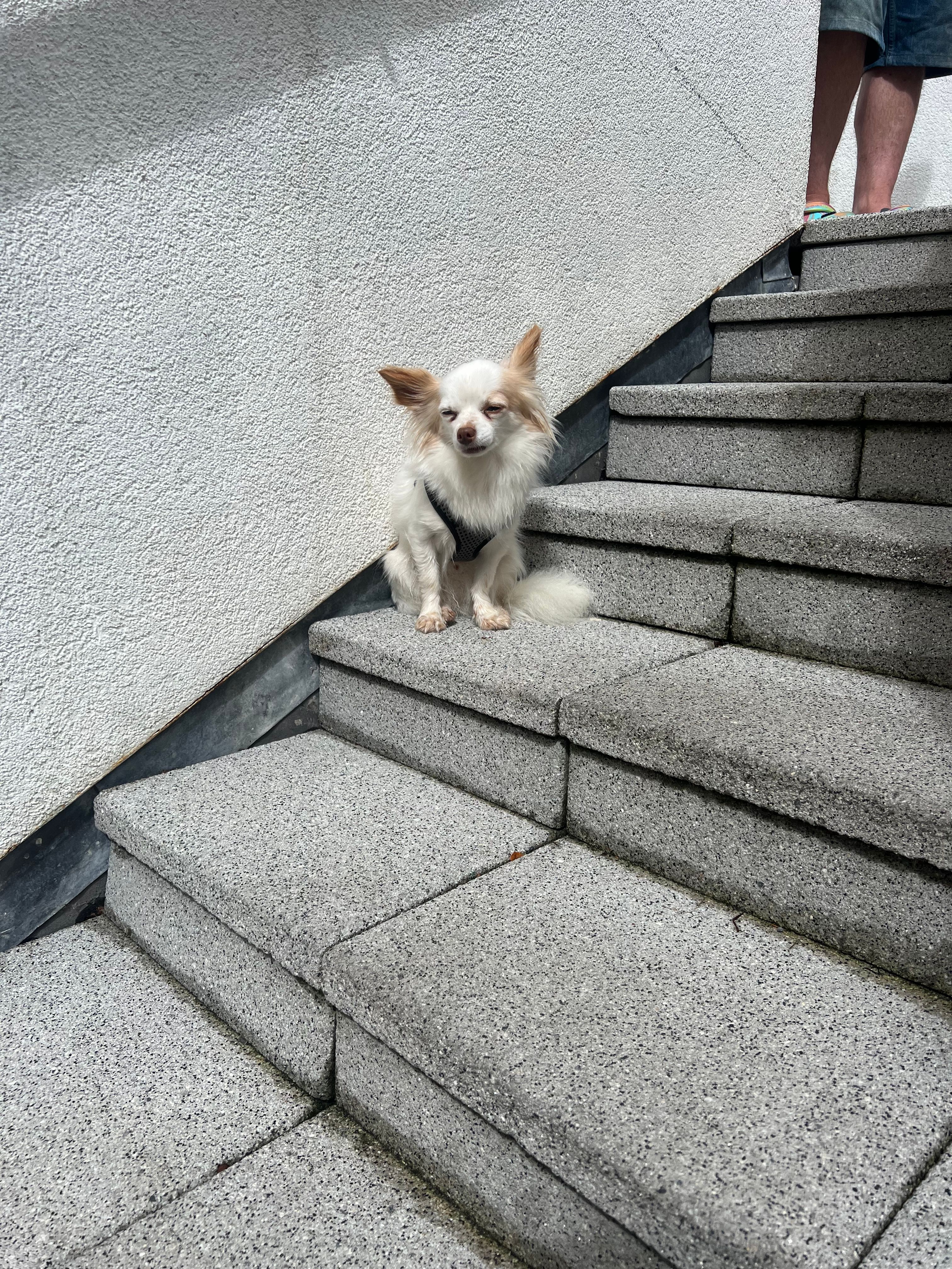 image-4