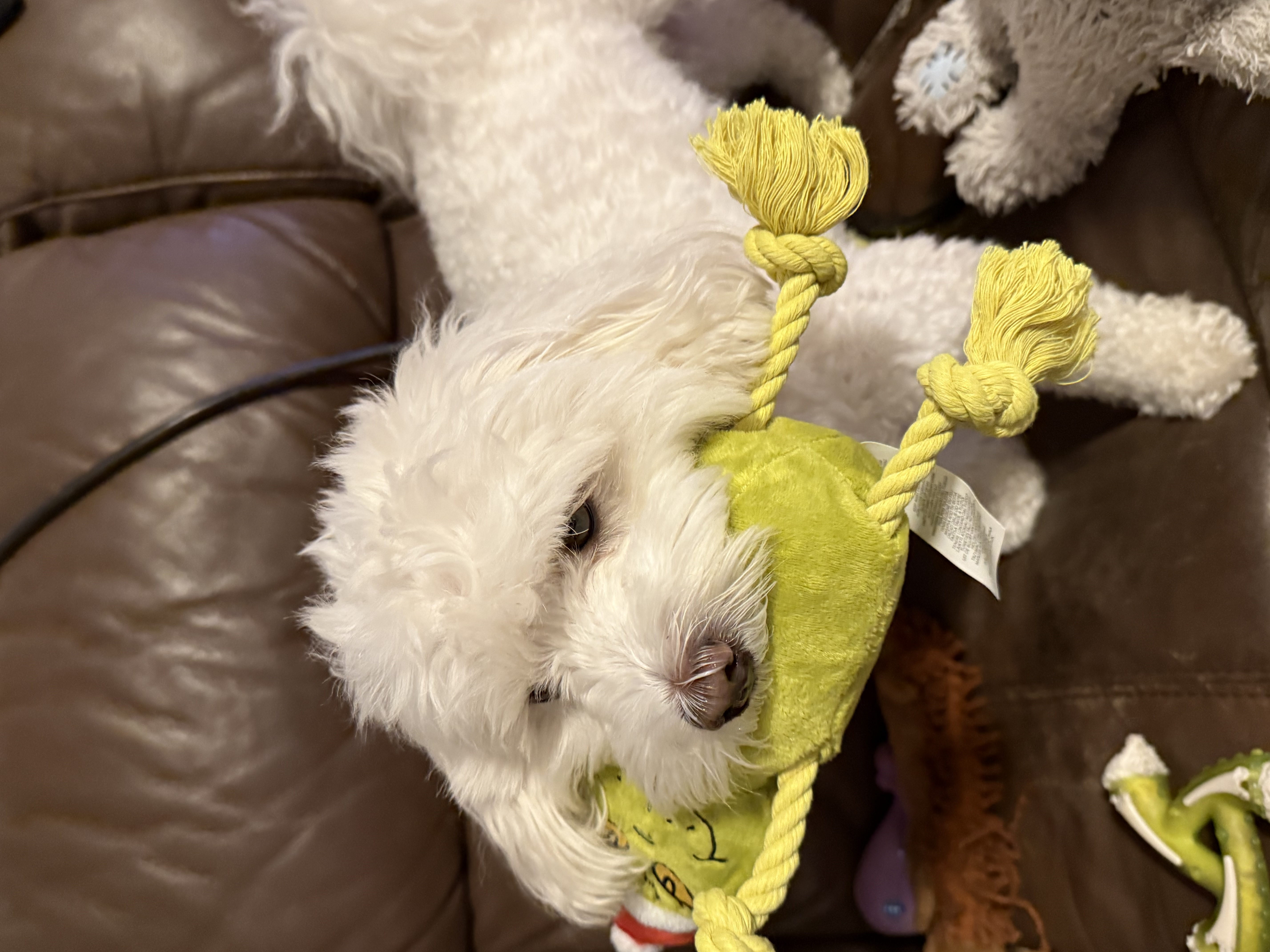 image-16
