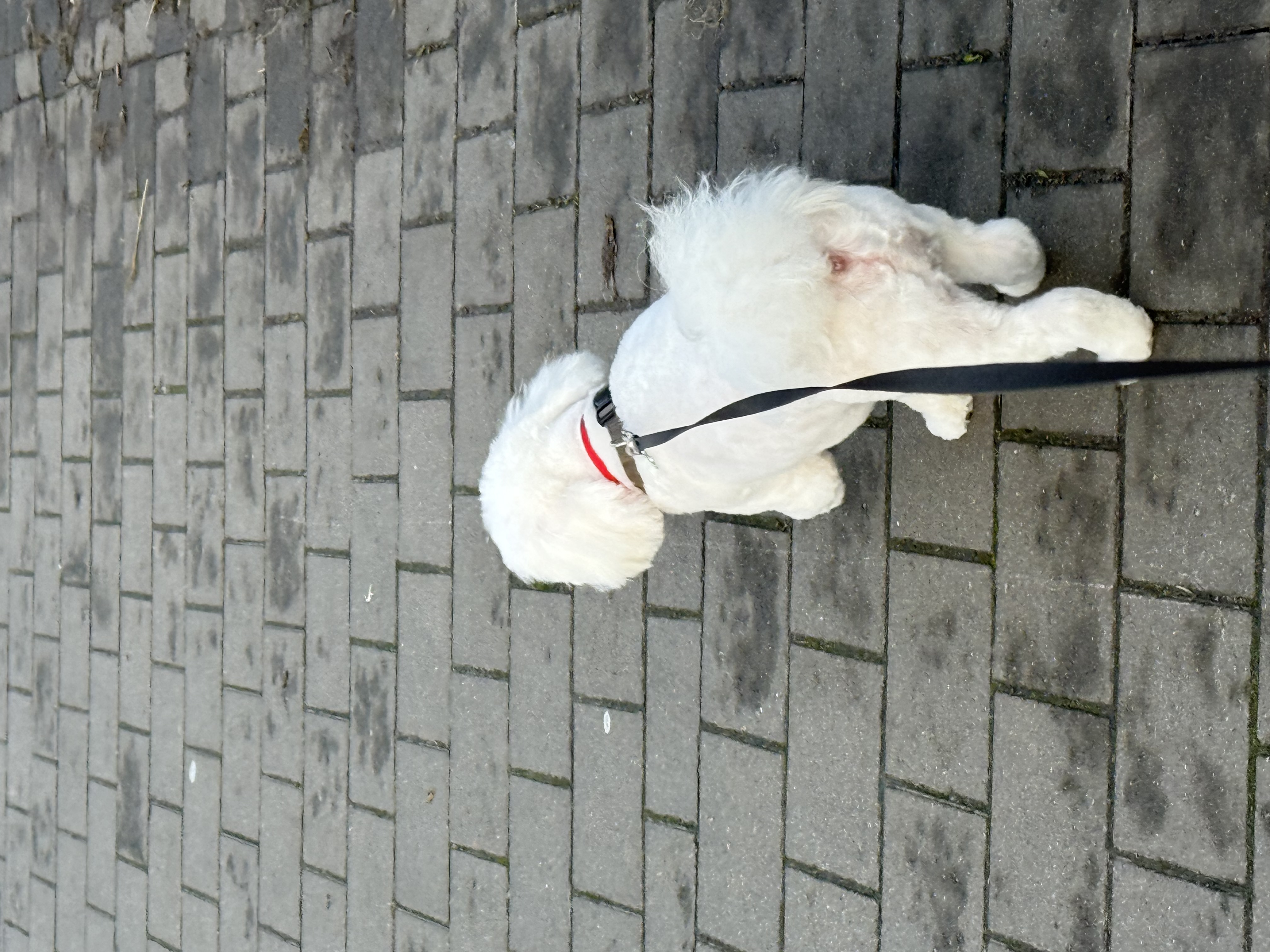 image-15