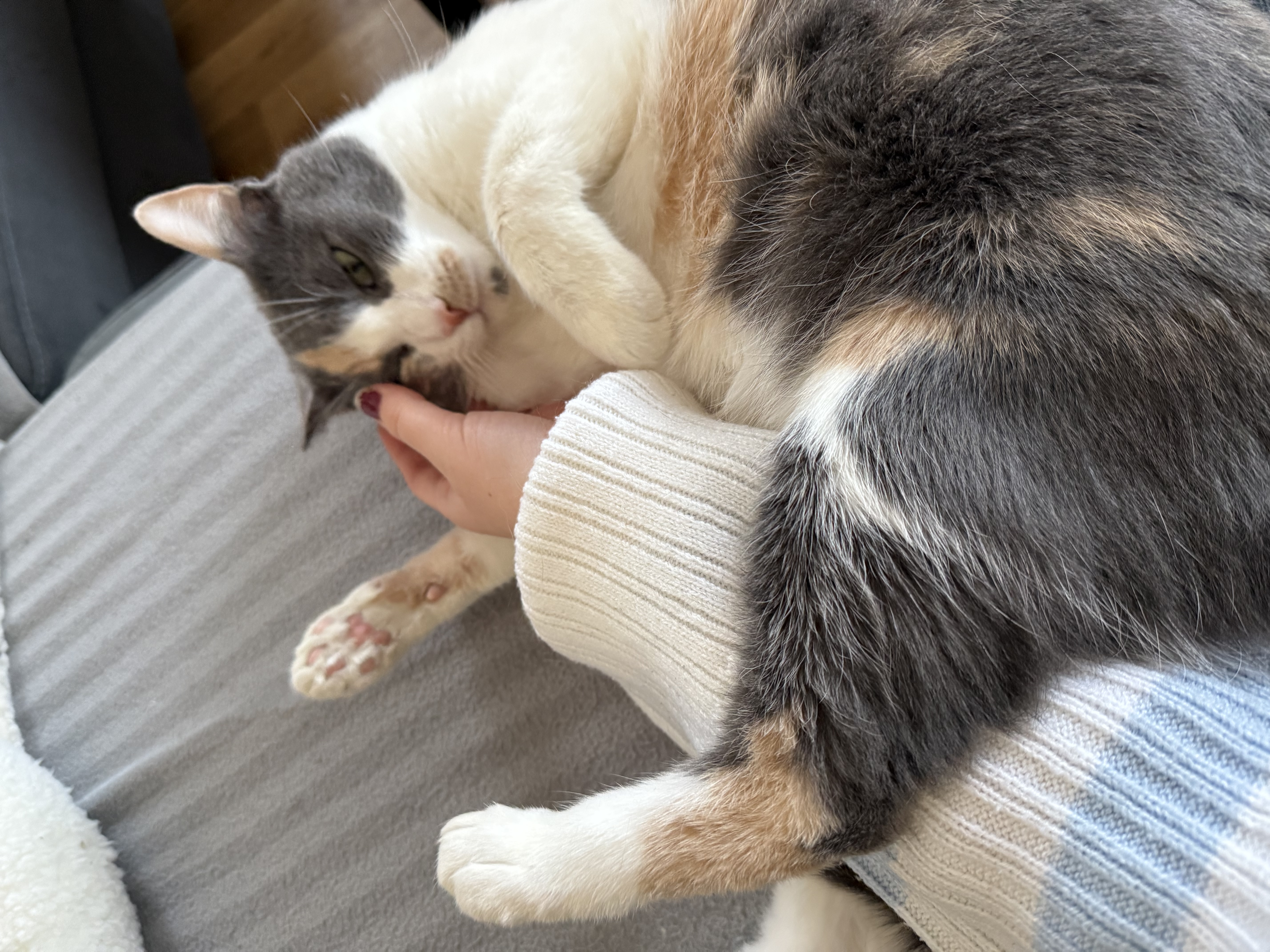 image-6