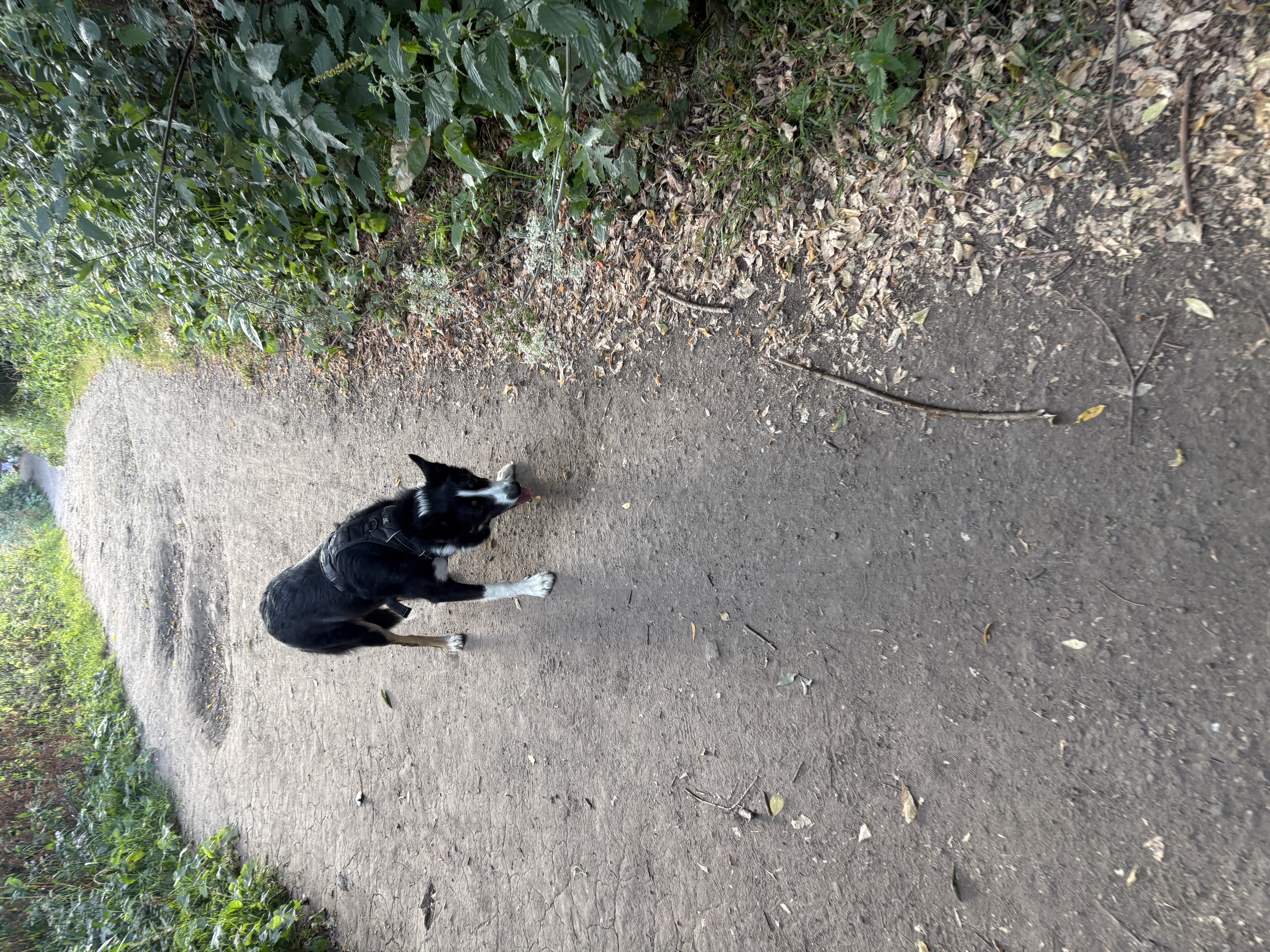 image-14