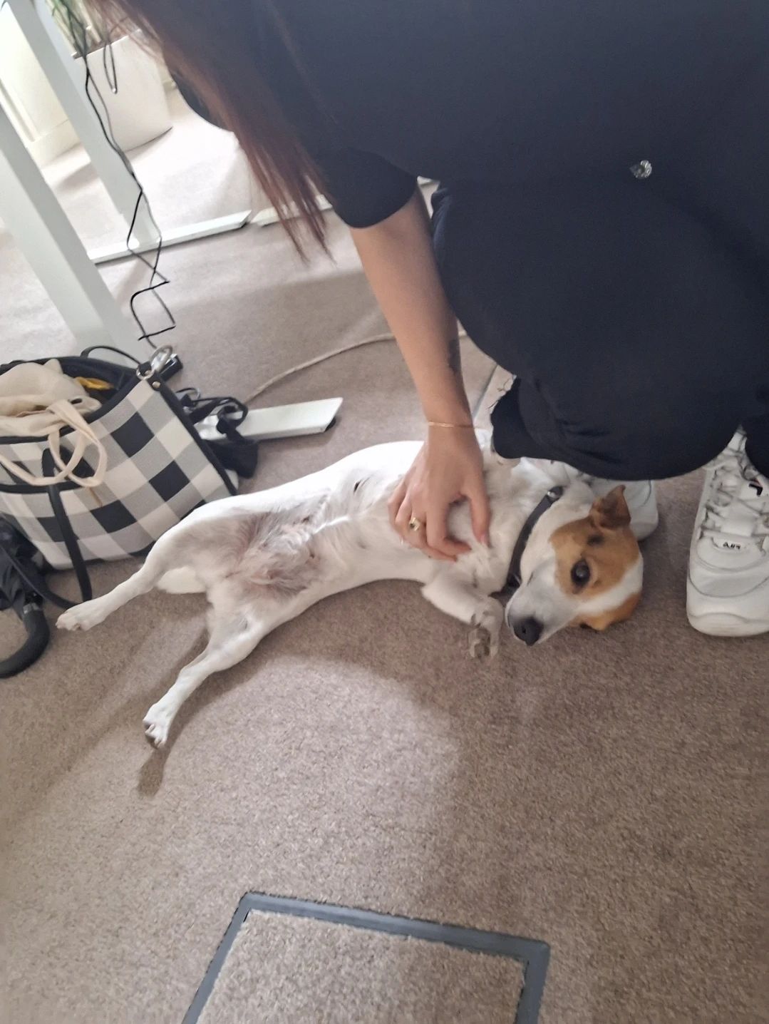 image-8