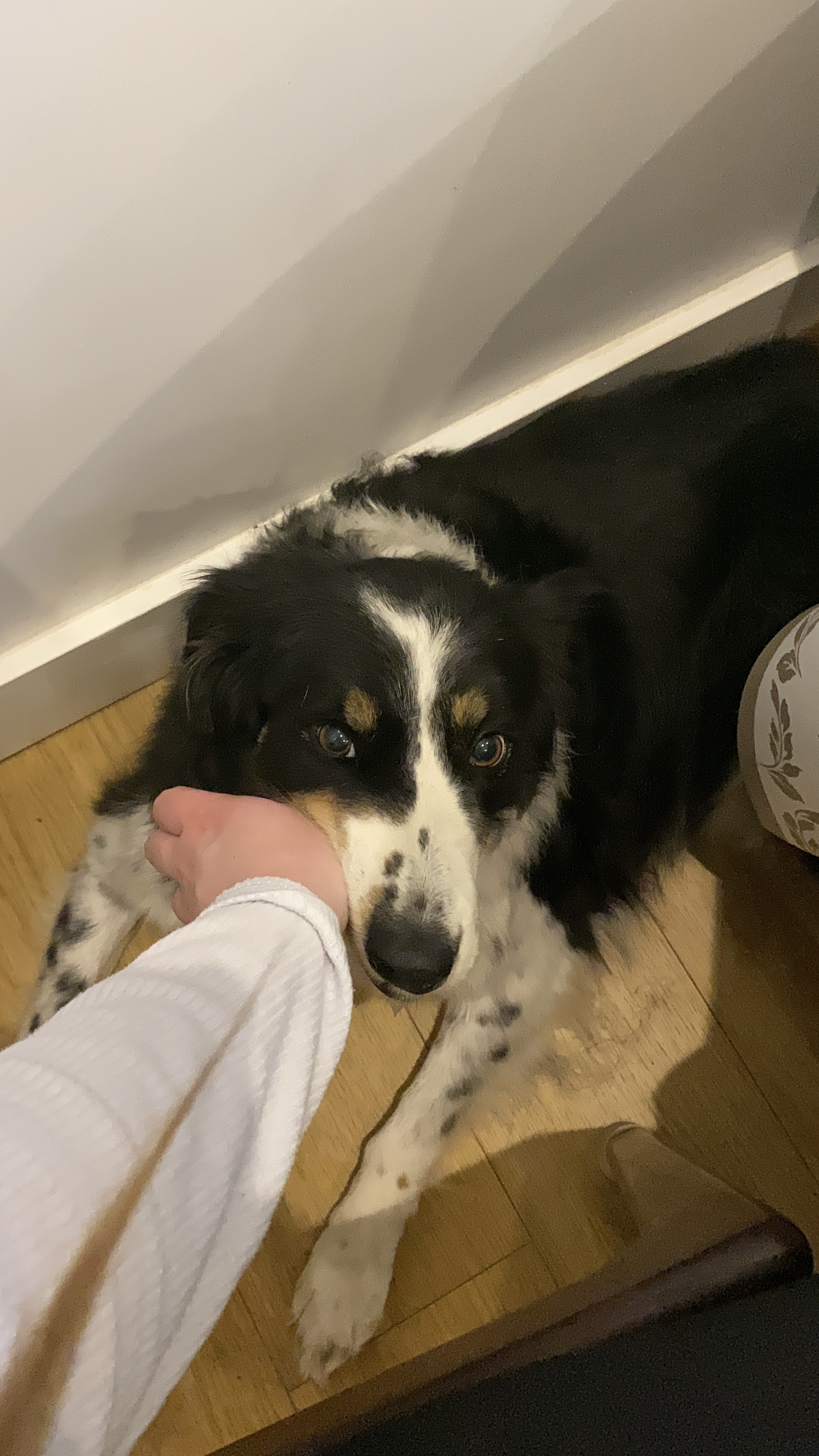 image-7