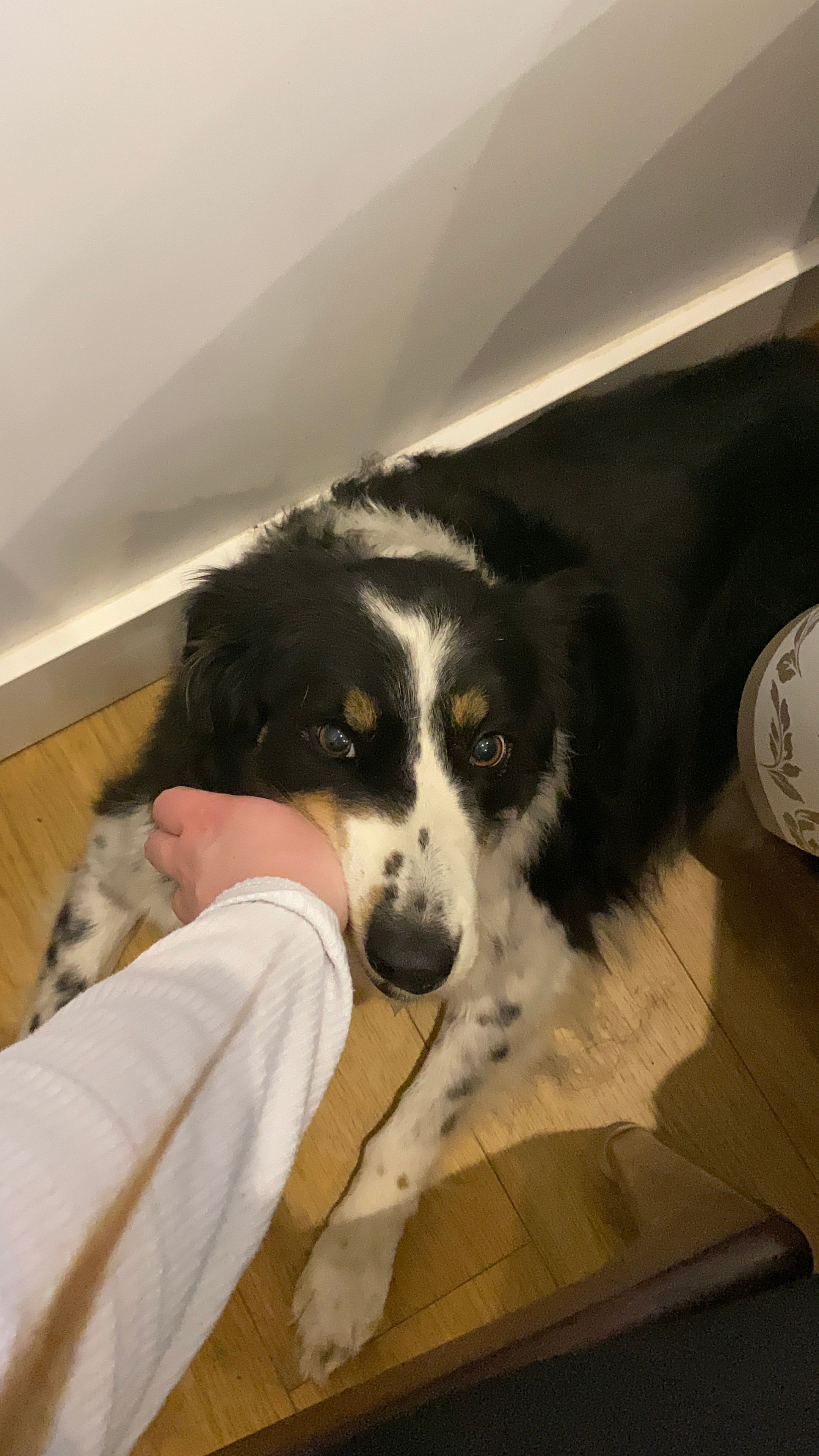 image-7