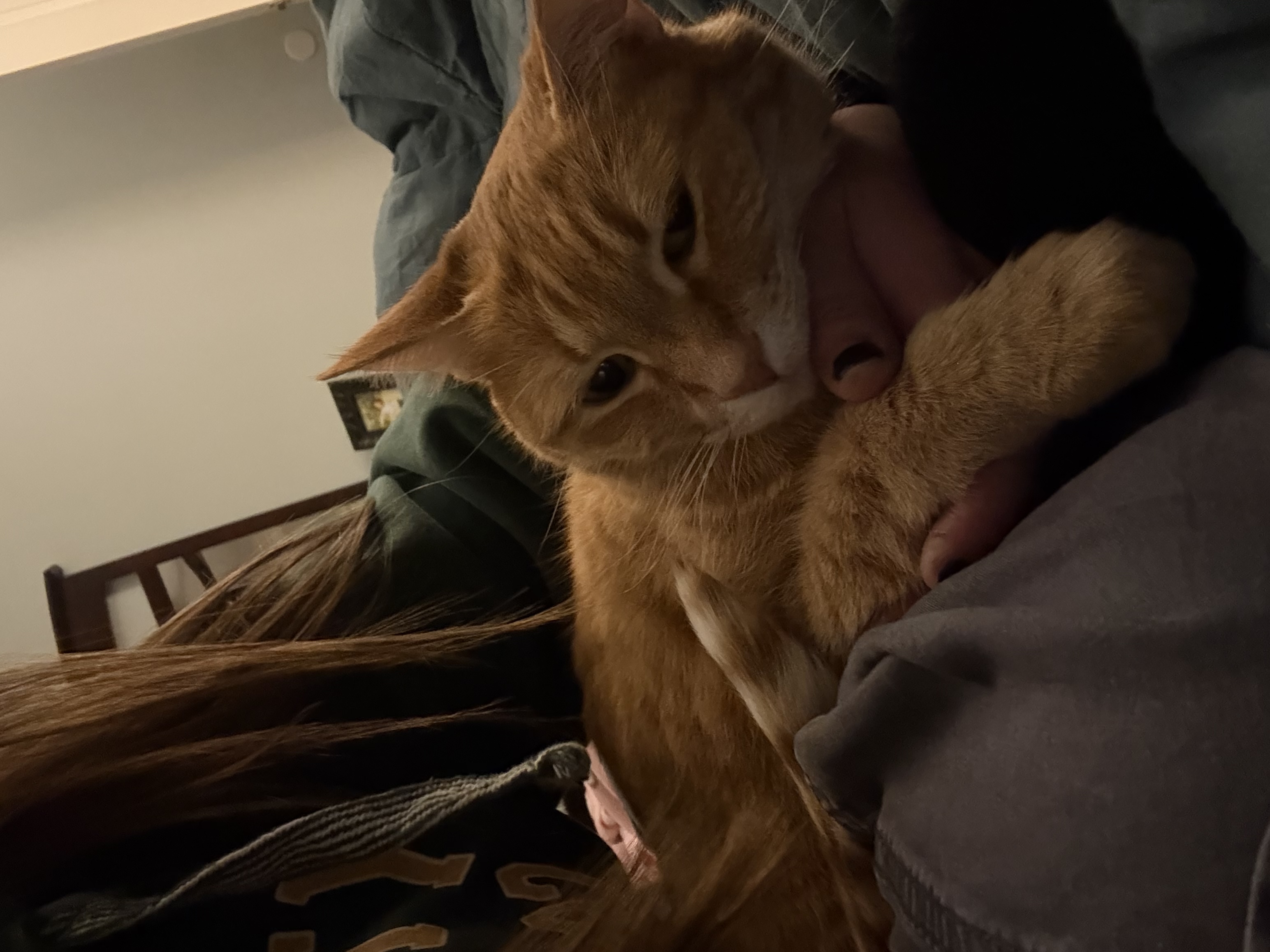 image-8