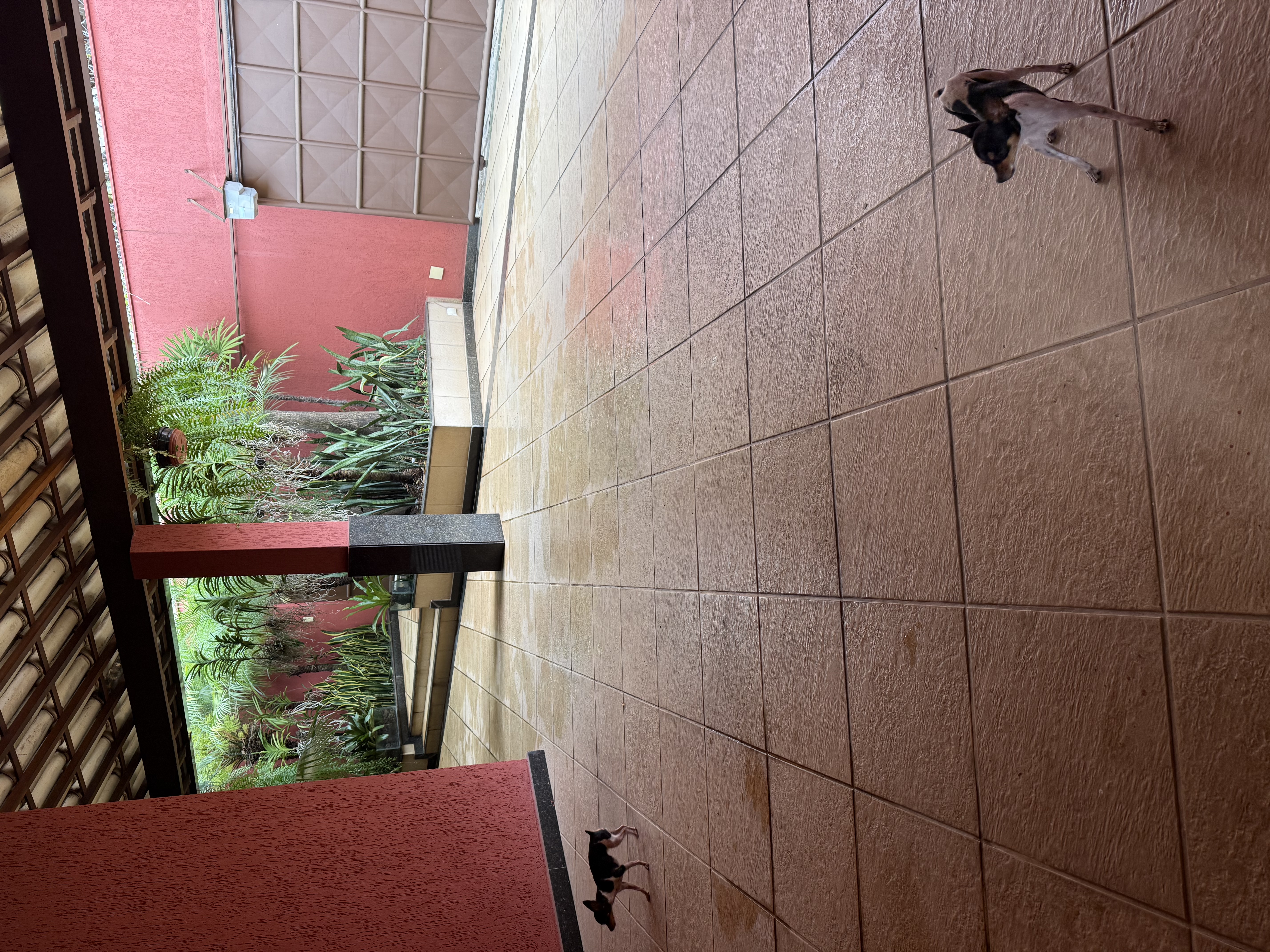 image-32