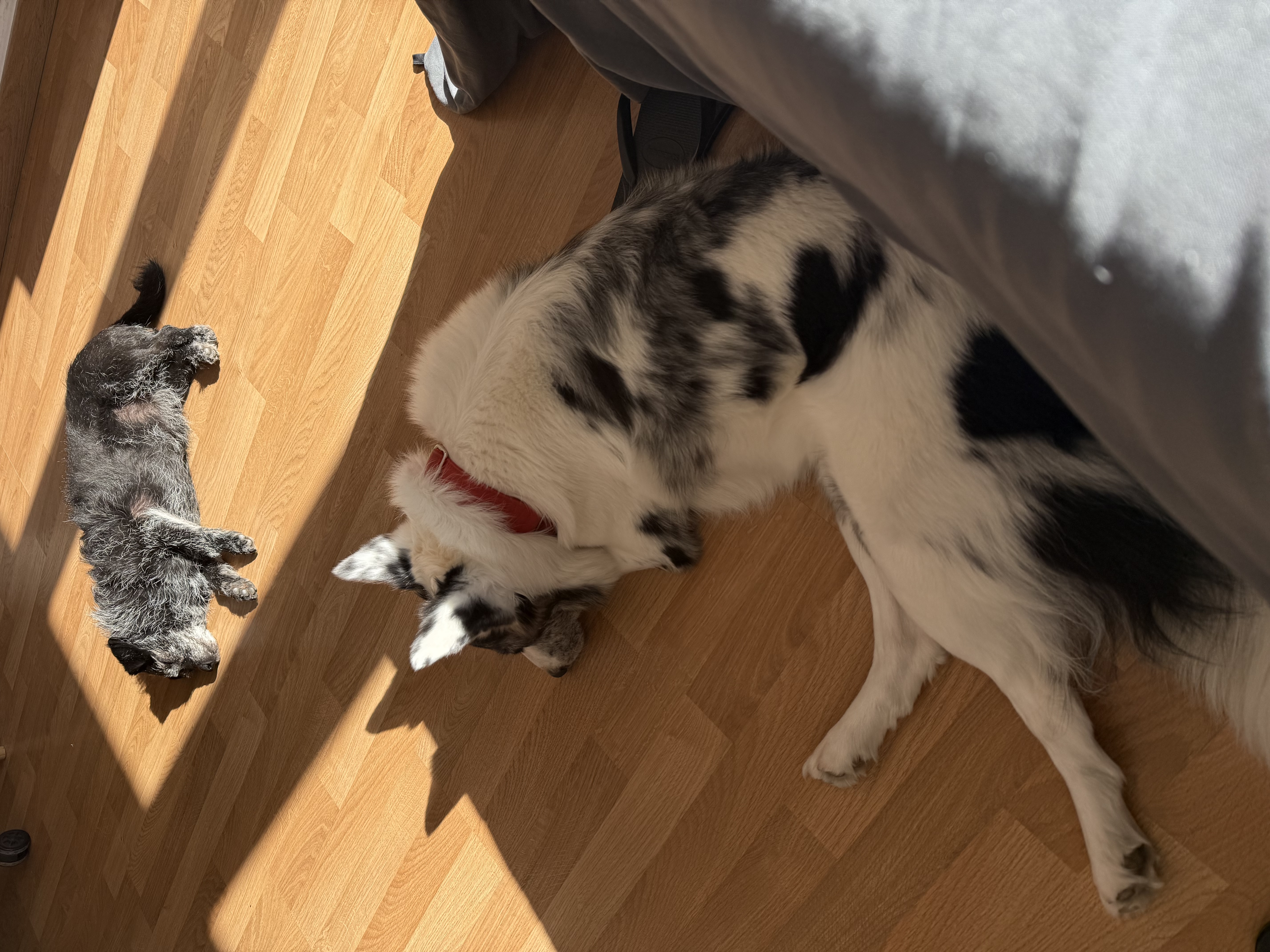 image-13