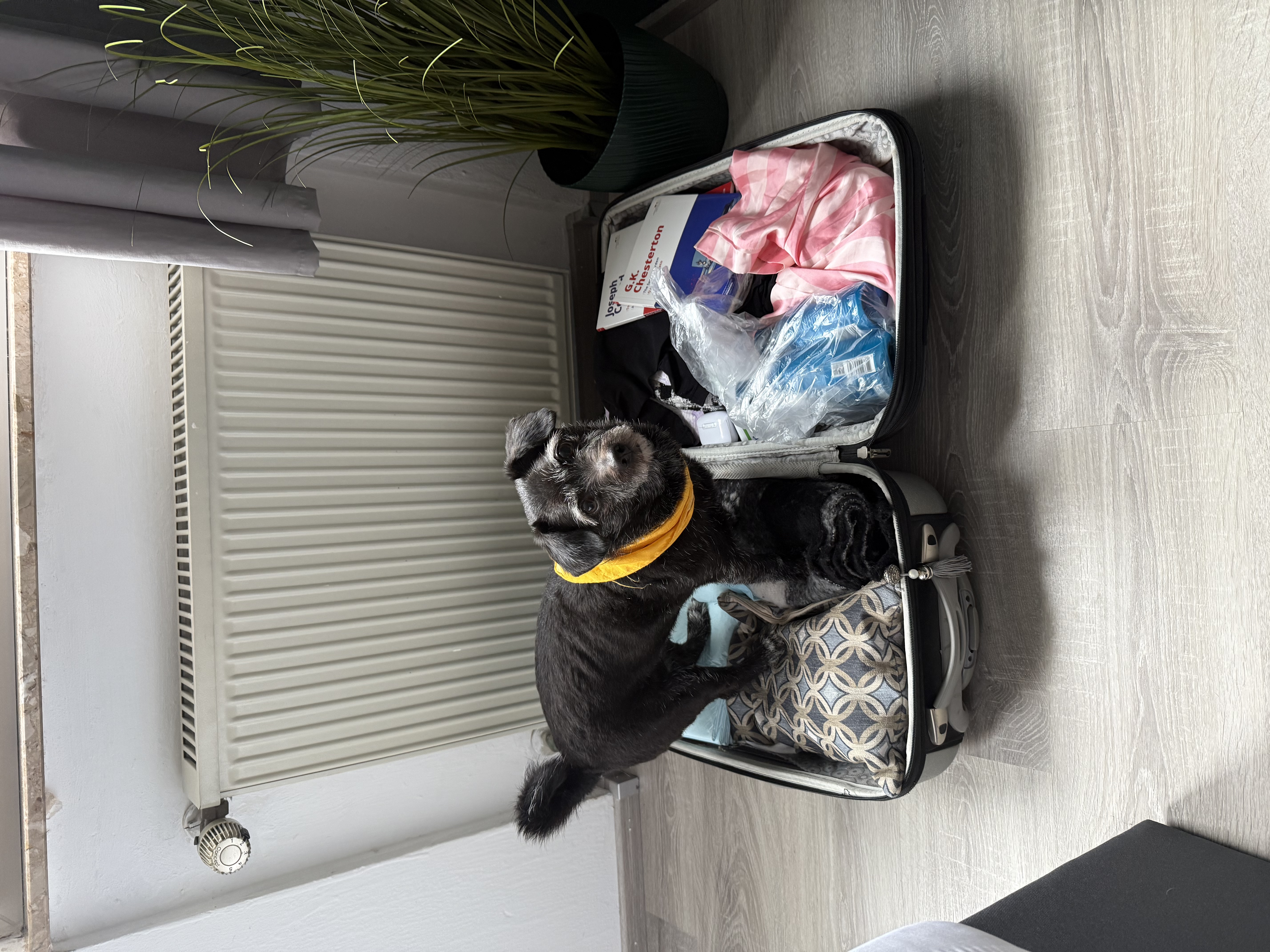 image-4