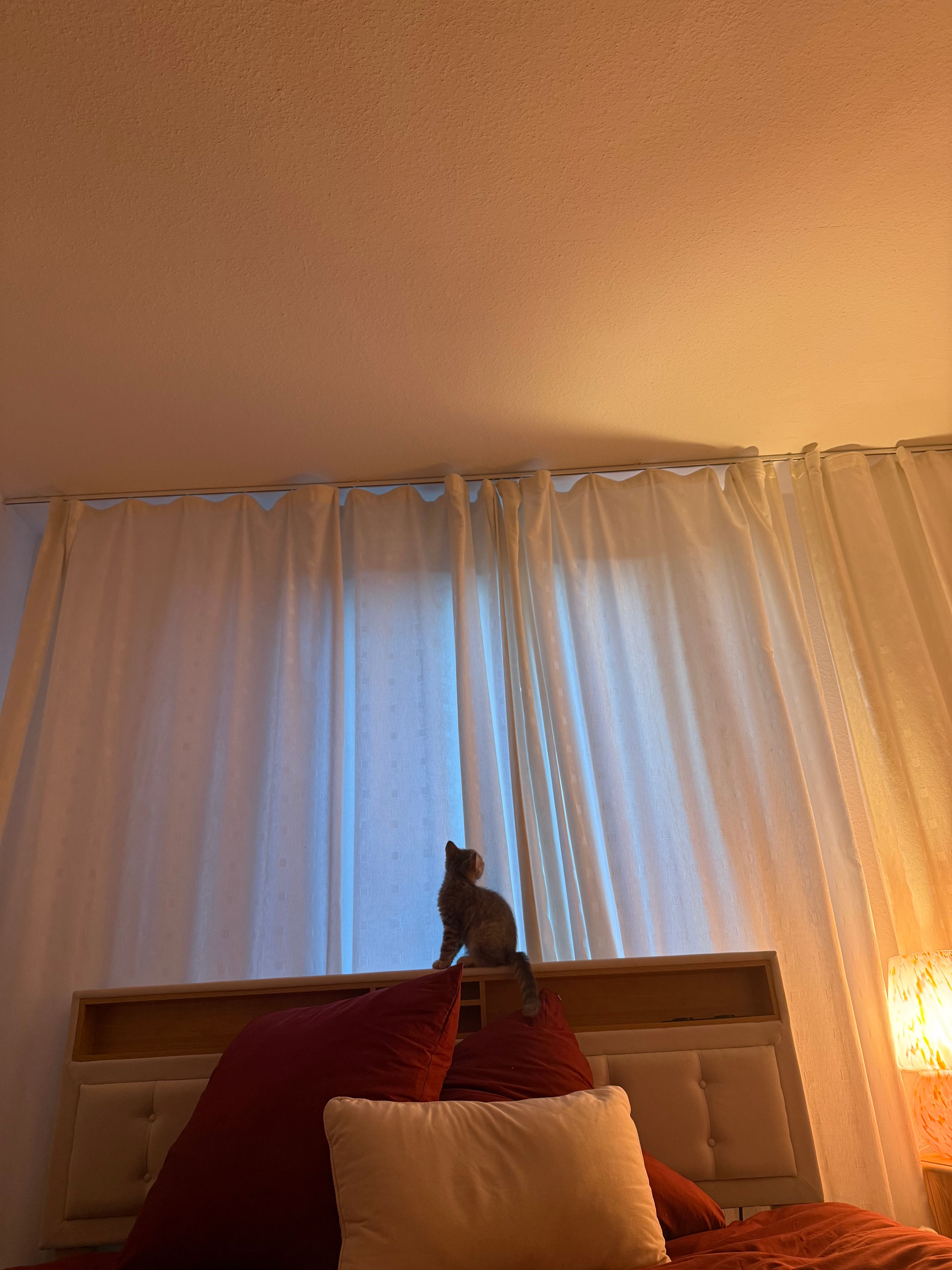 image-13