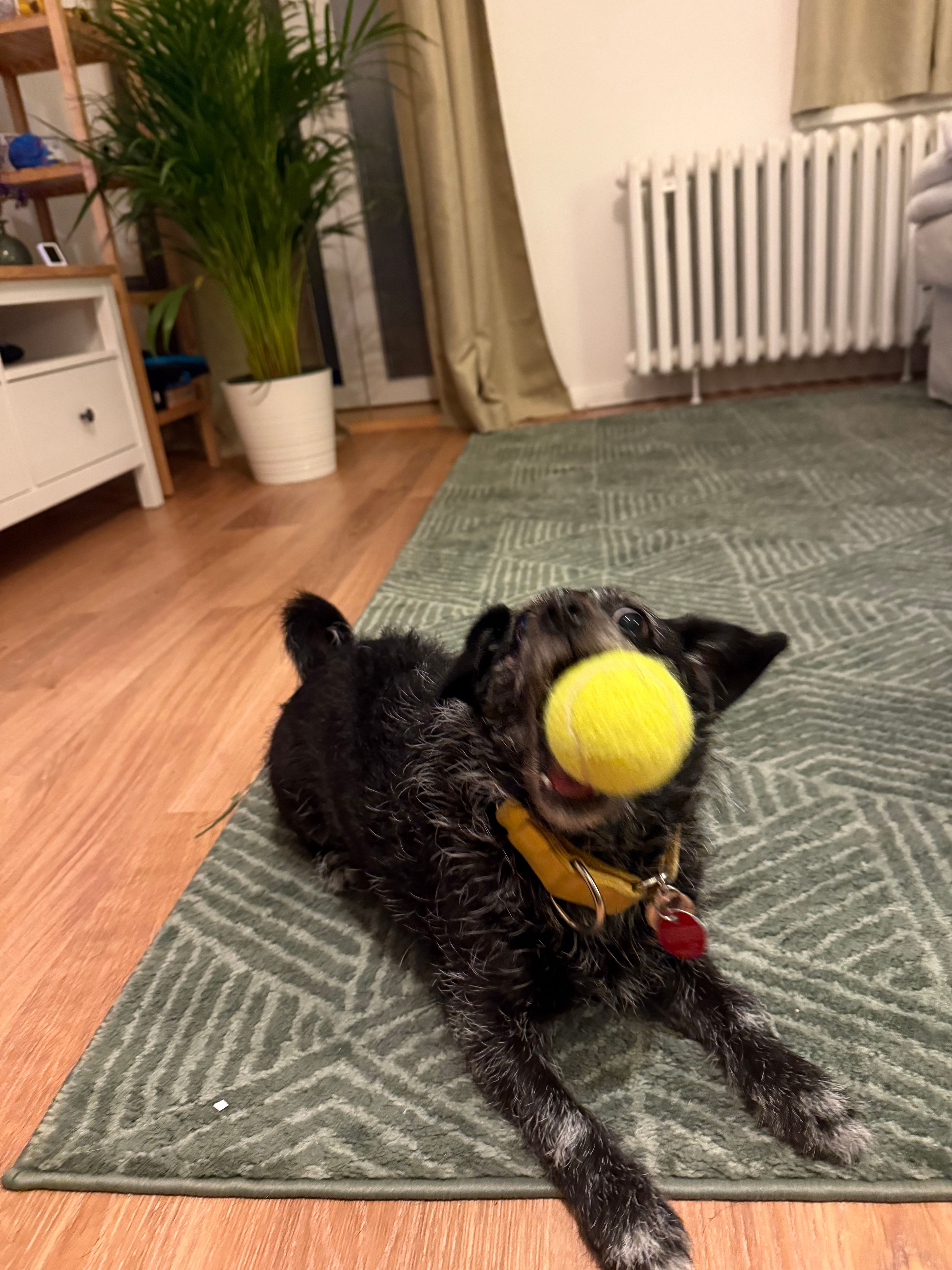 image-23
