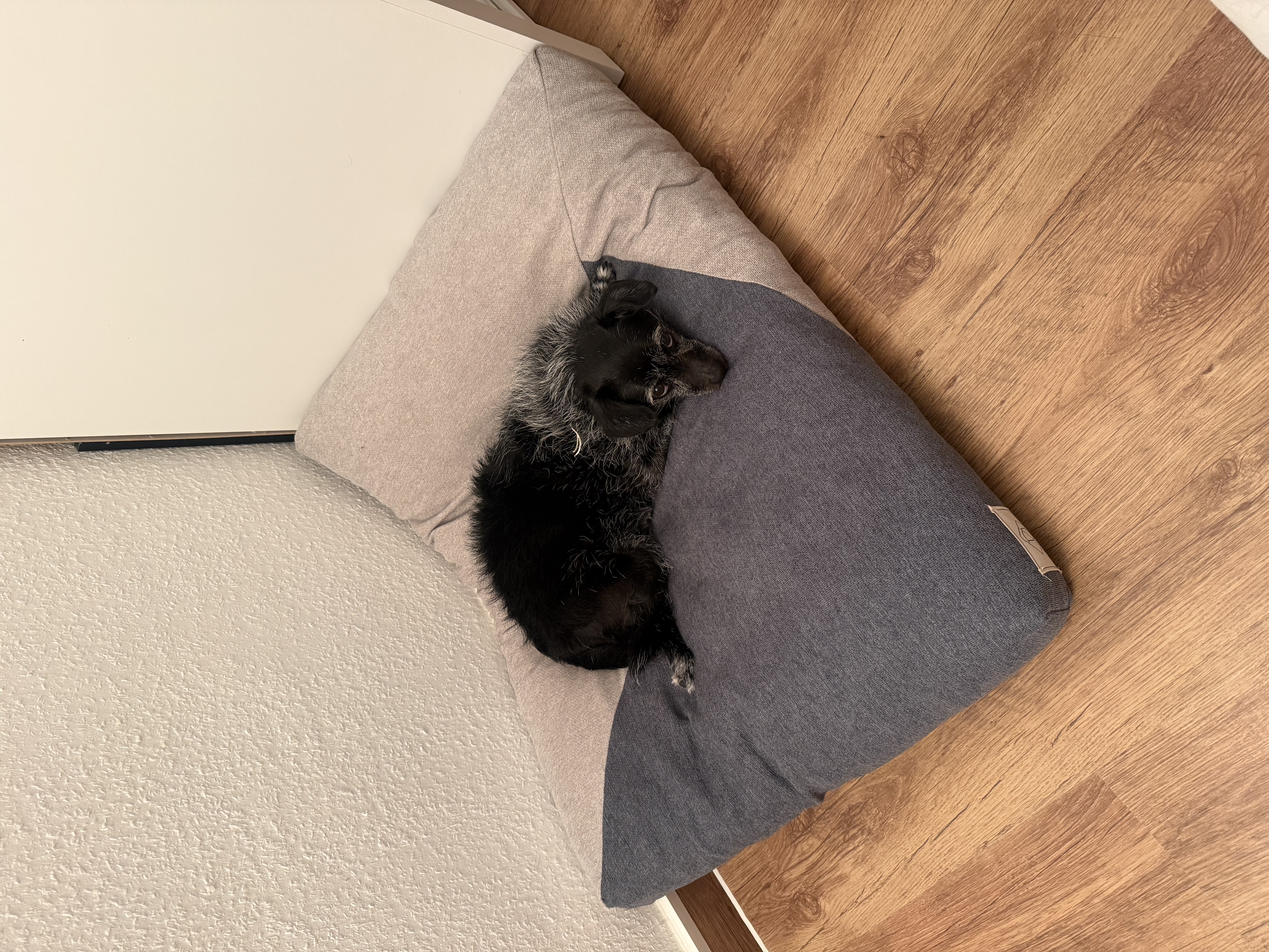 image-16