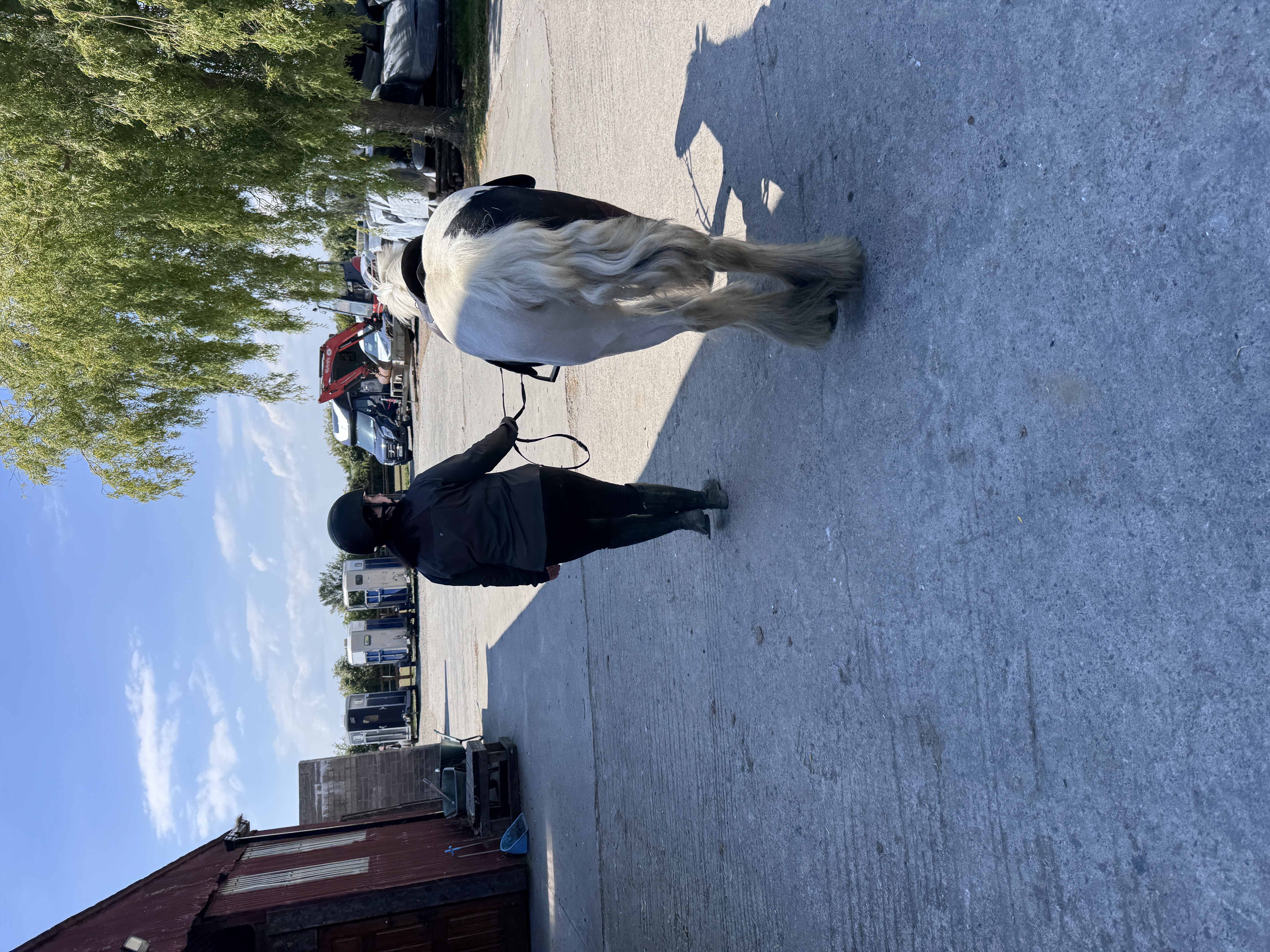 image-14