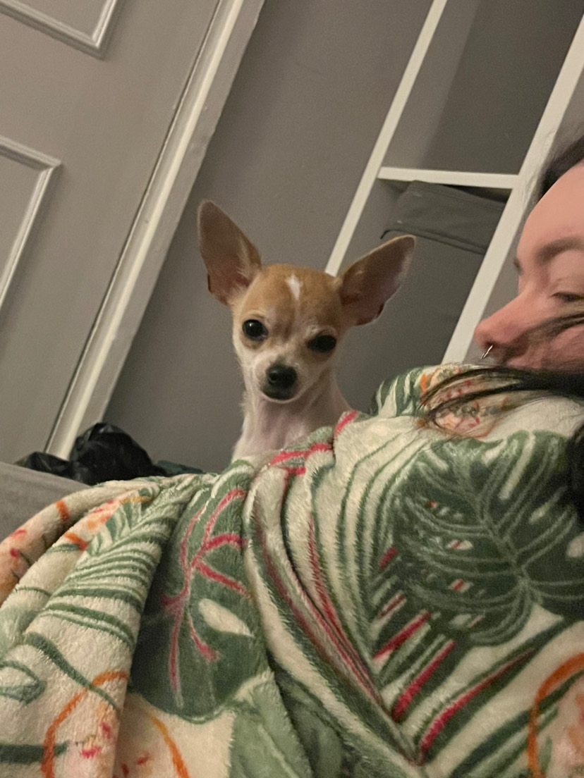 image-11