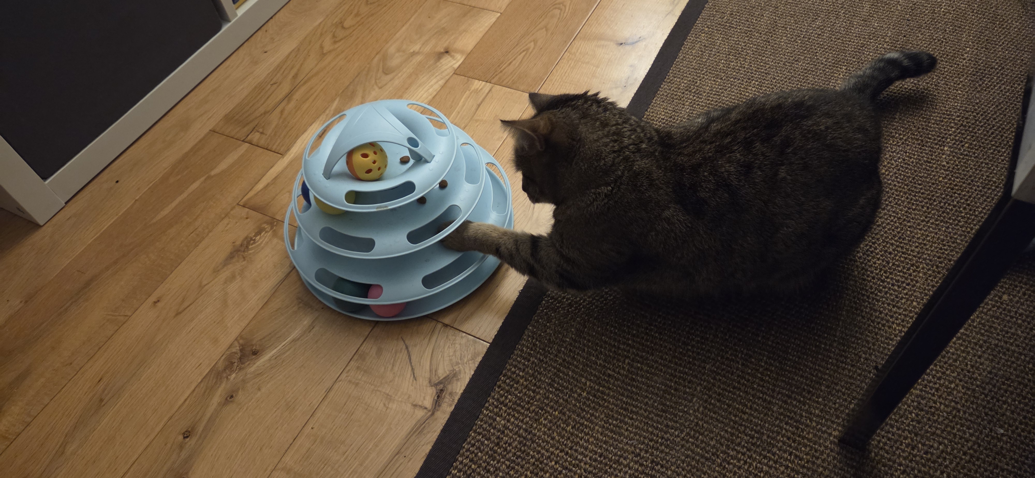 image-8