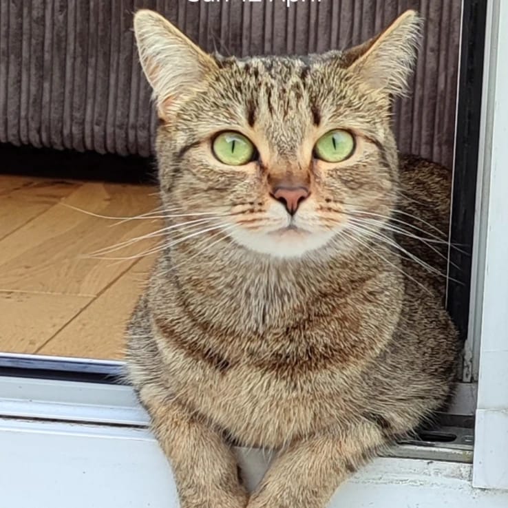Tilly