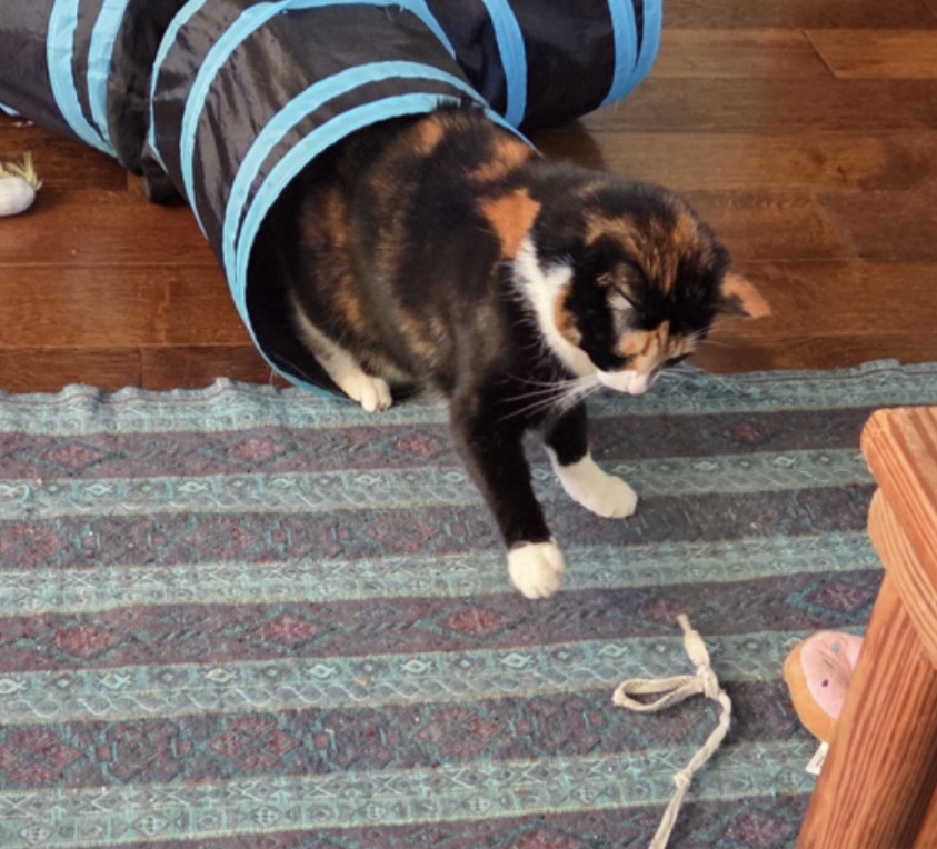 image-6