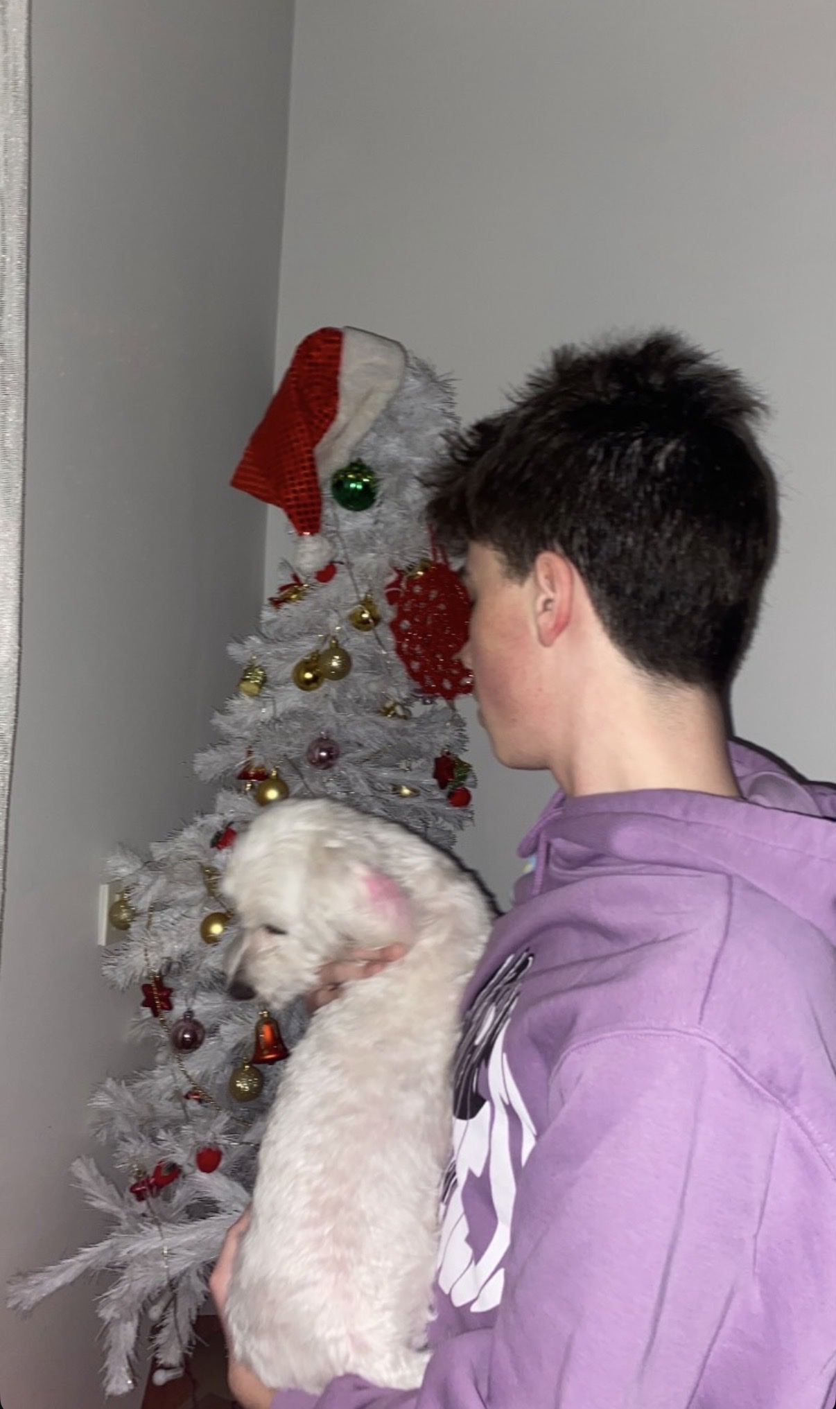 image-4