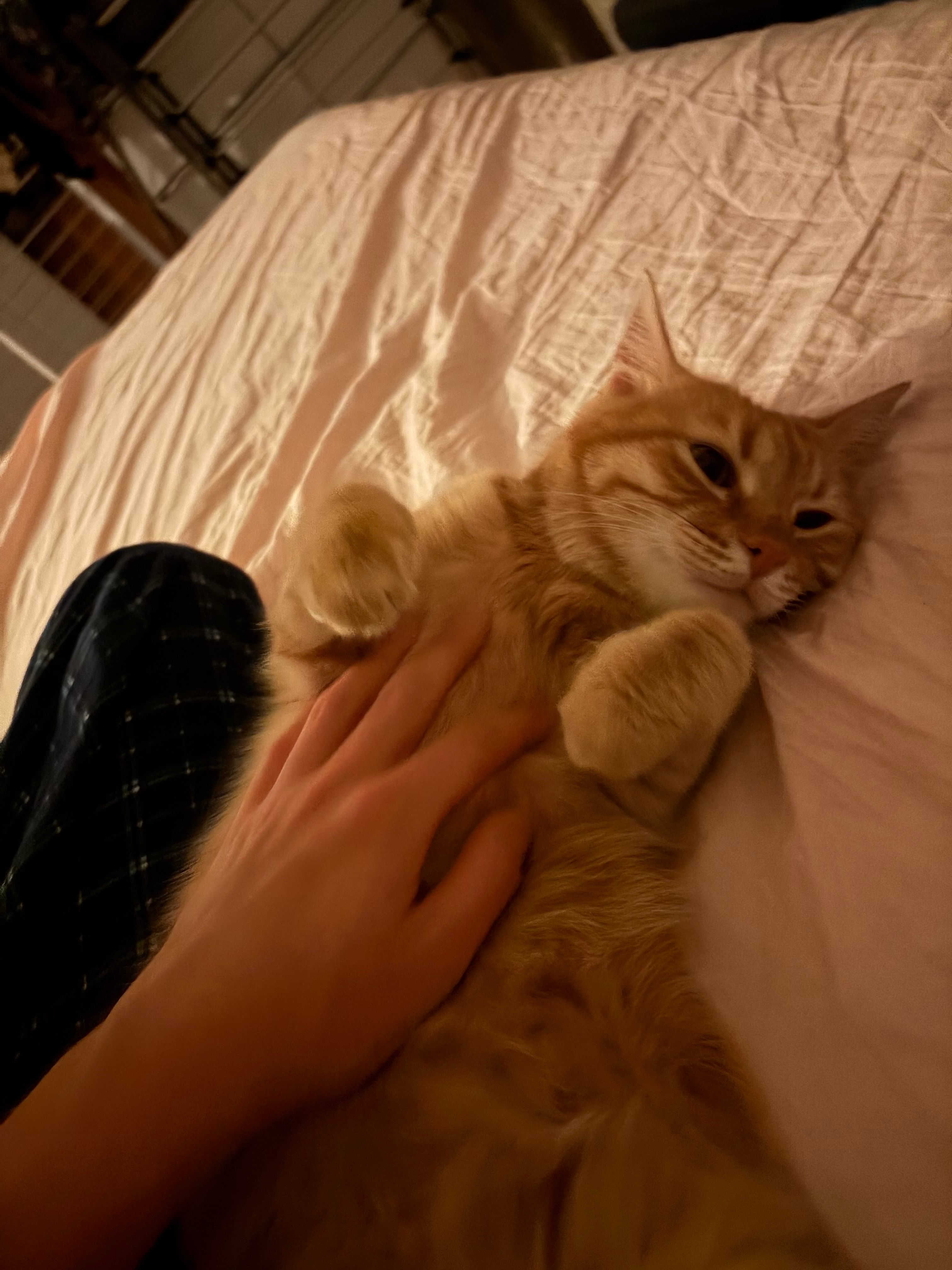 image-6