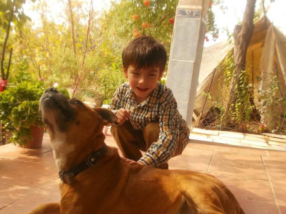 image-5