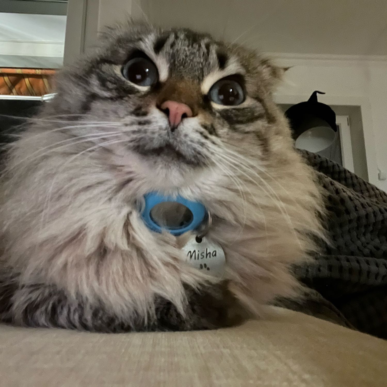 Misha