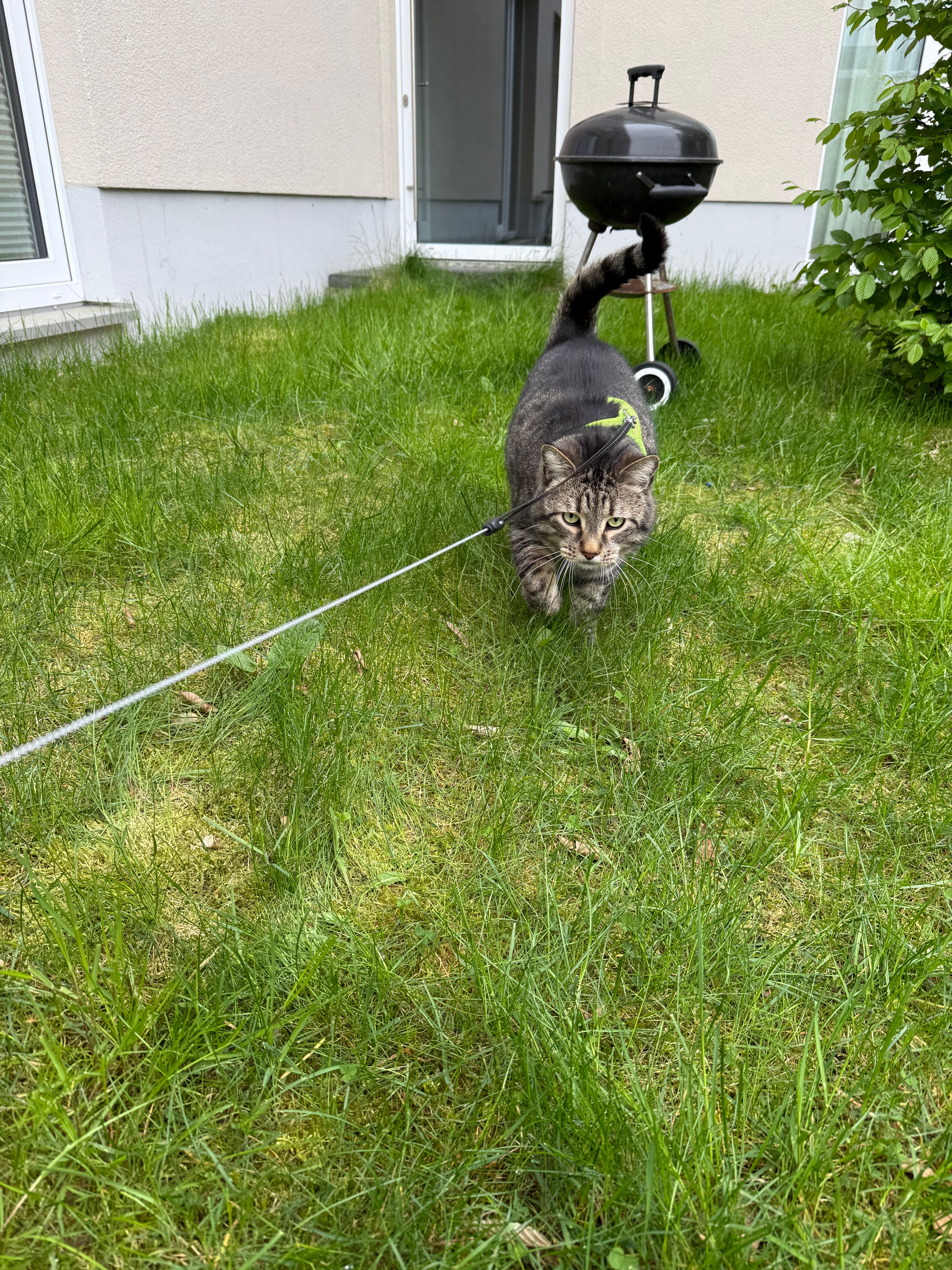 image-5