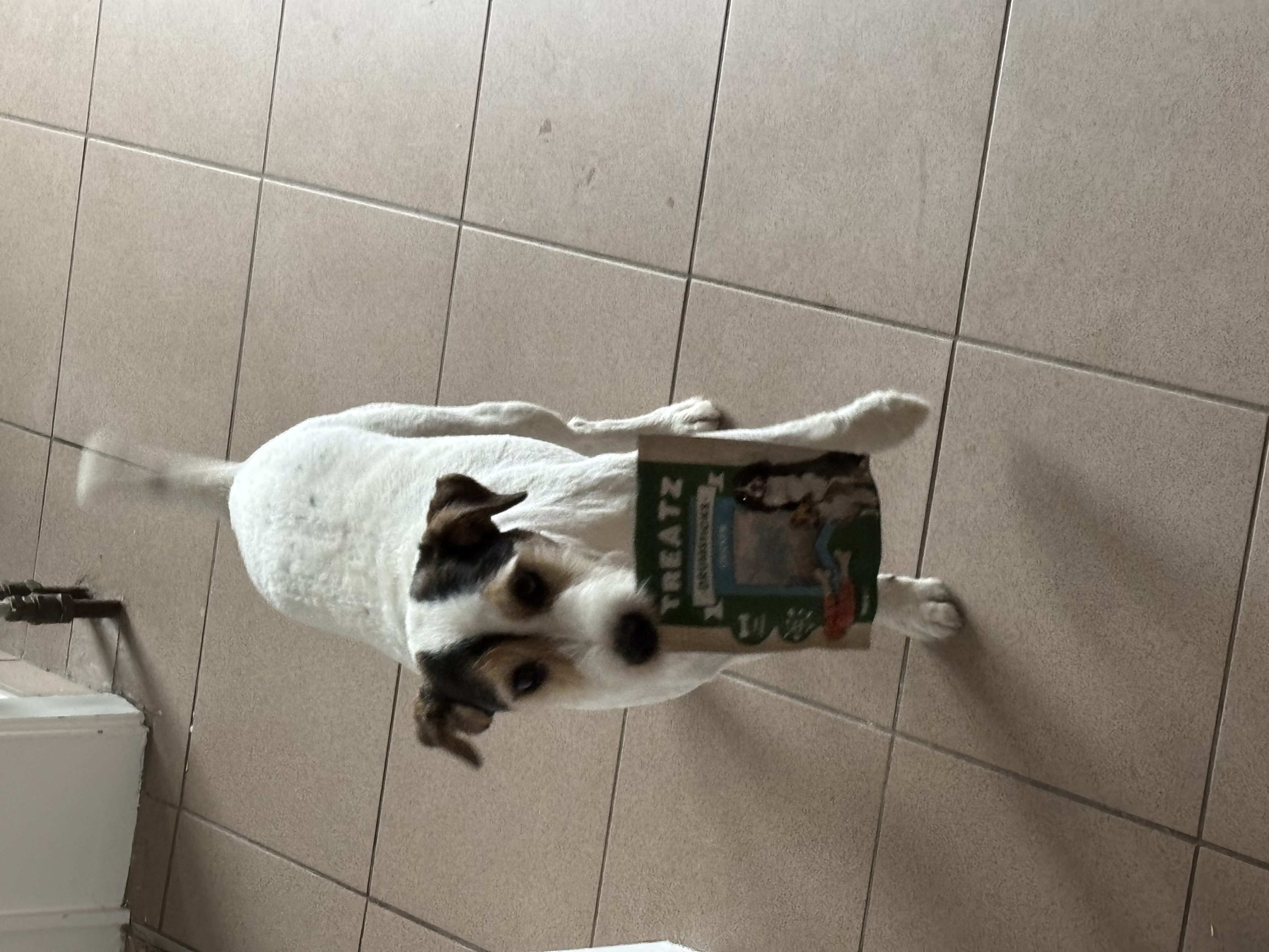 image-8