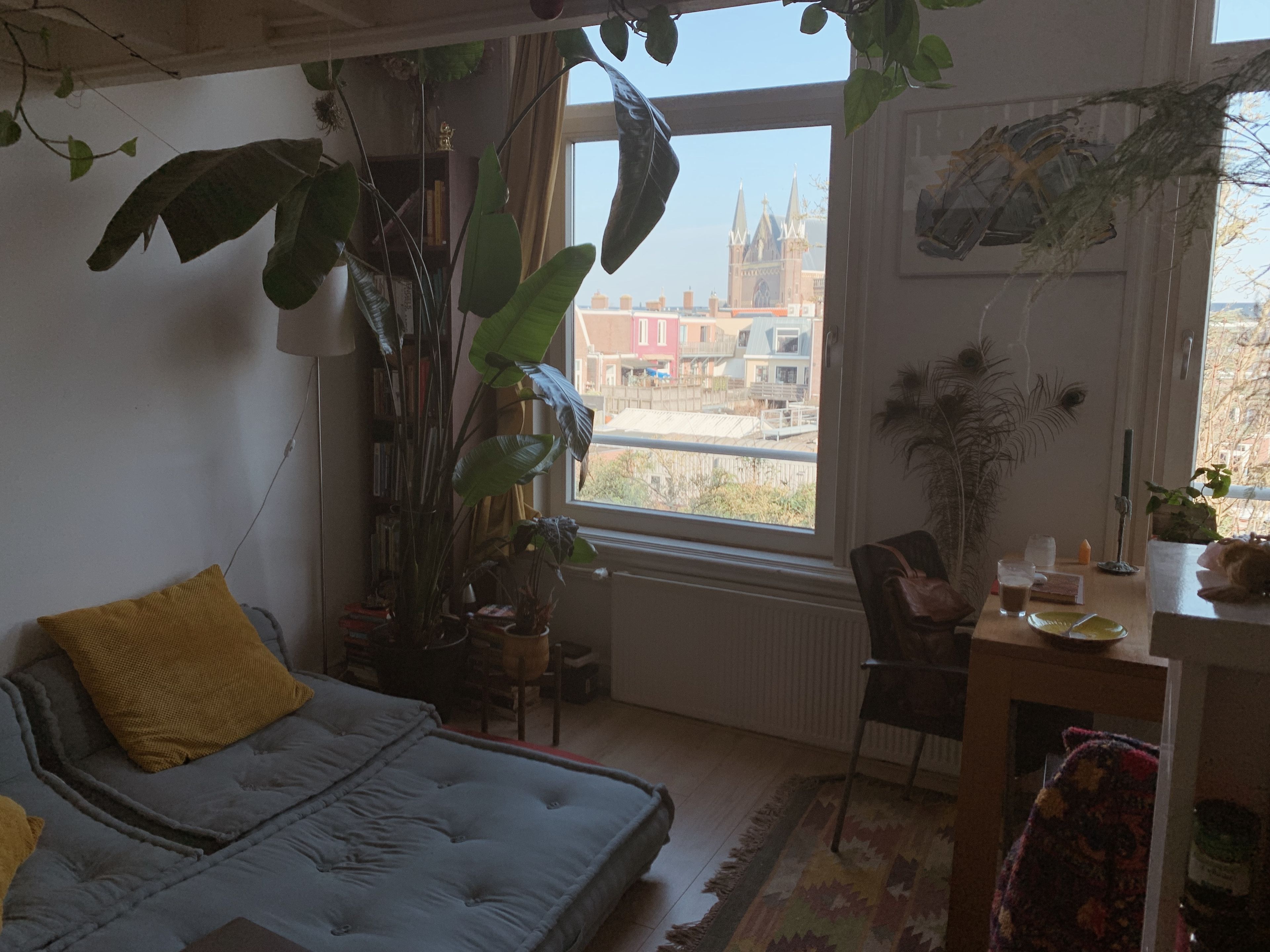 image-8